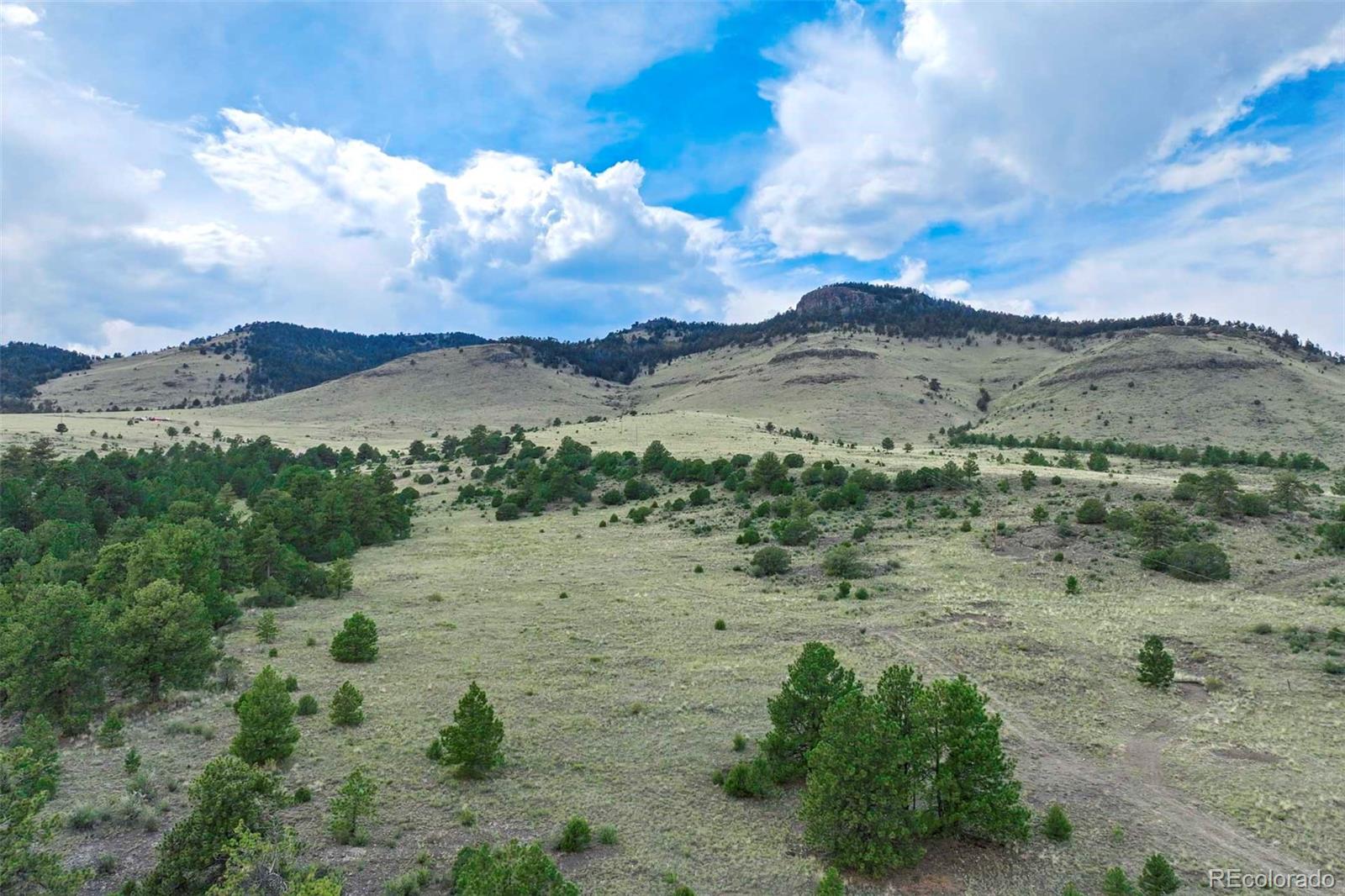 0 Witcher Mountain Road Guffey, CO 80820 - Photo 41 of 50