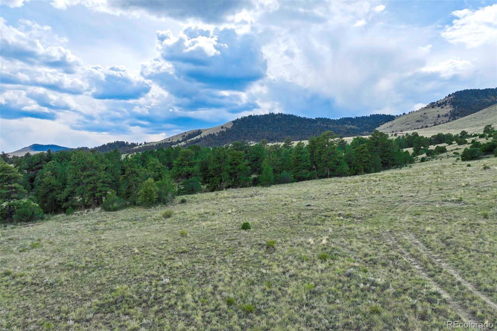 0 Witcher Mountain Road Guffey, CO 80820 - Photo 45 of 50