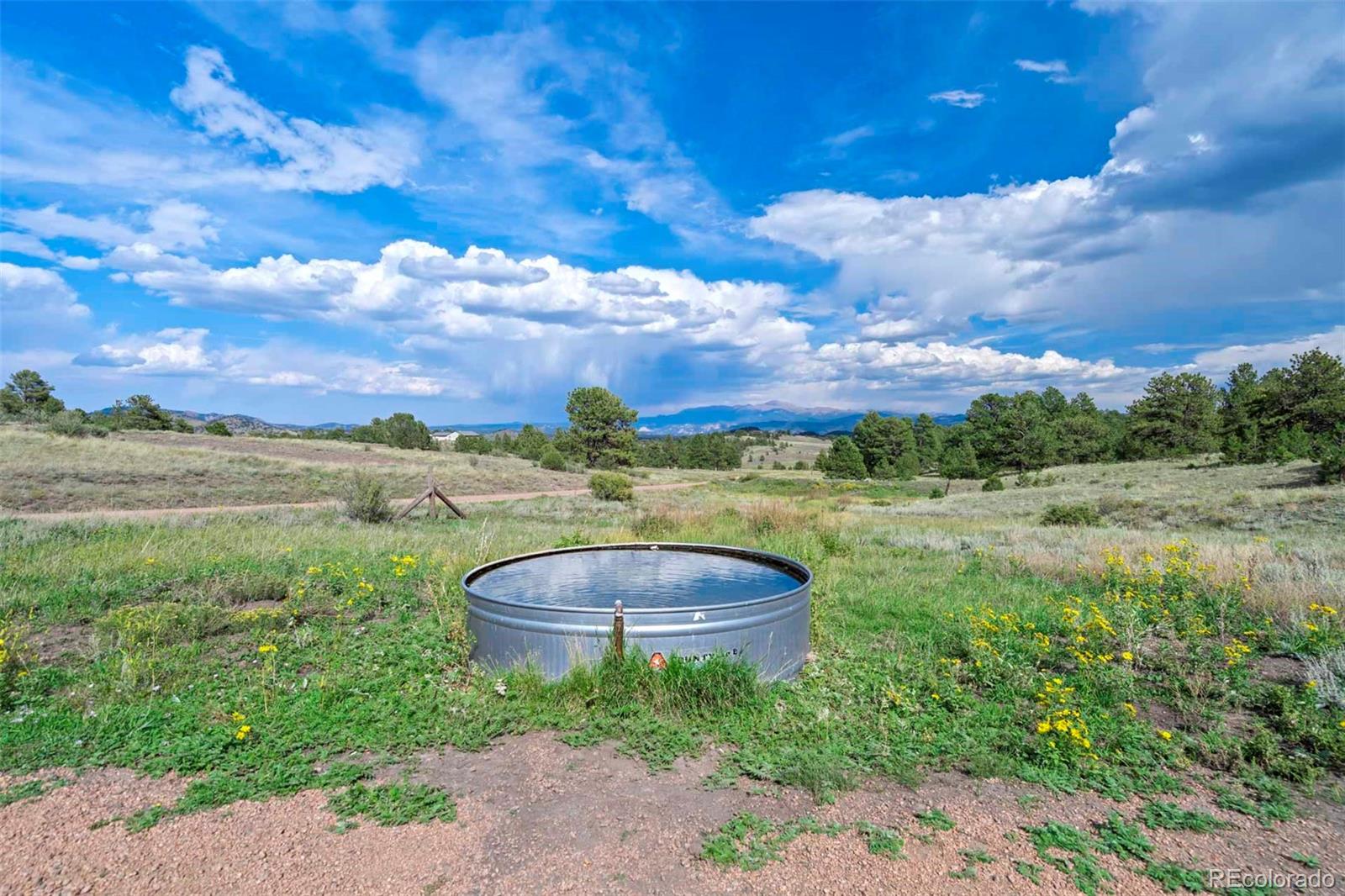 0 Witcher Mountain Road Guffey, CO 80820 - Photo 49 of 50