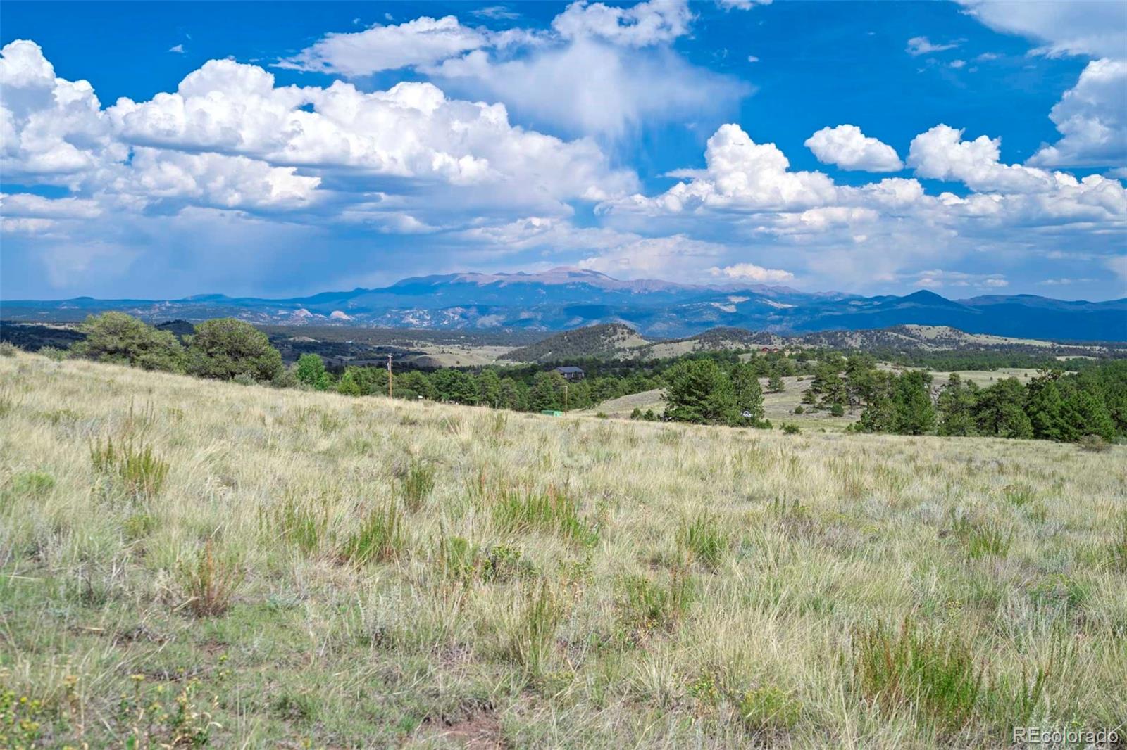 0 Witcher Mountain Road Guffey, CO 80820 - Photo 5 of 50