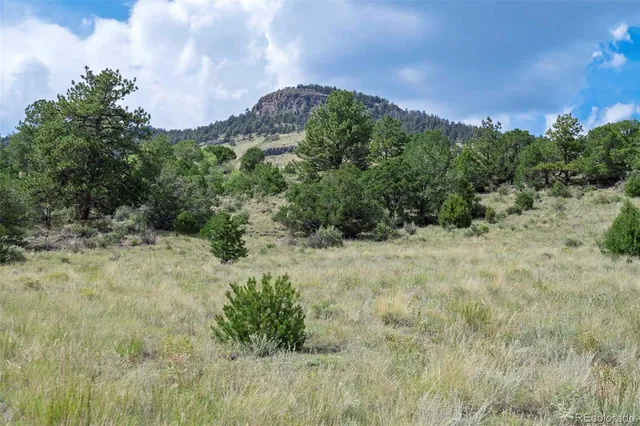 a view of a city with lots of green space