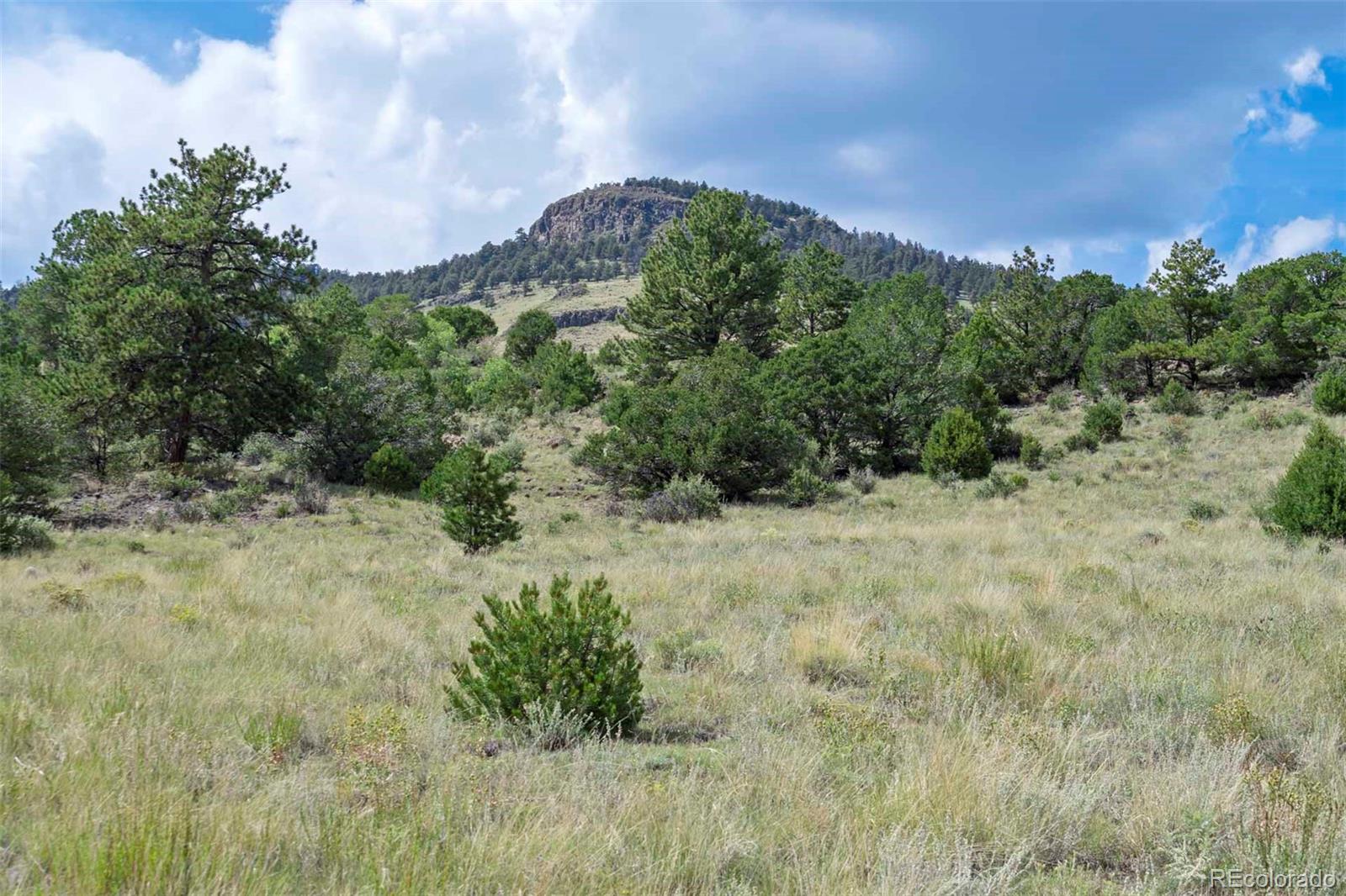 0 Witcher Mountain Road Guffey, CO 80820 - Photo 6 of 50