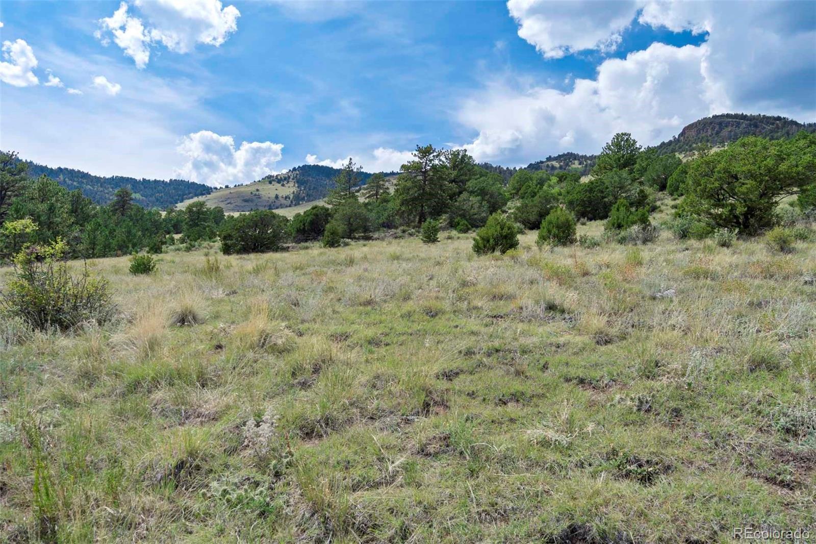 0 Witcher Mountain Road Guffey, CO 80820 - Photo 7 of 50