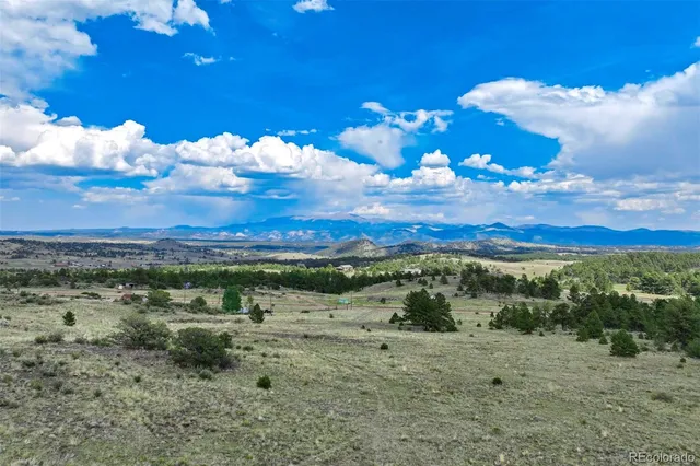 a view of a city with lots of green space