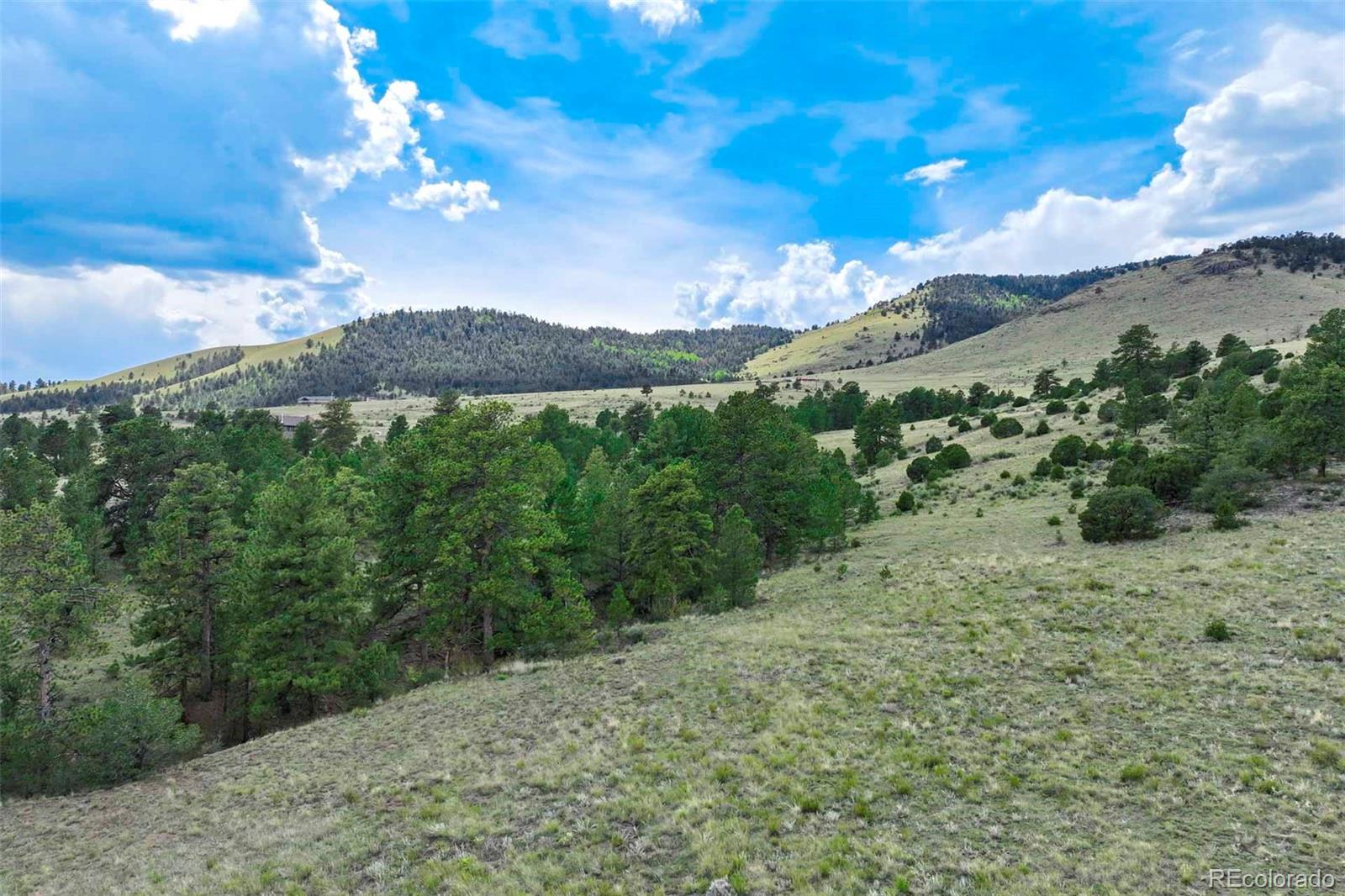 0 Witcher Mountain Road Guffey, CO 80820 - Photo 9 of 50