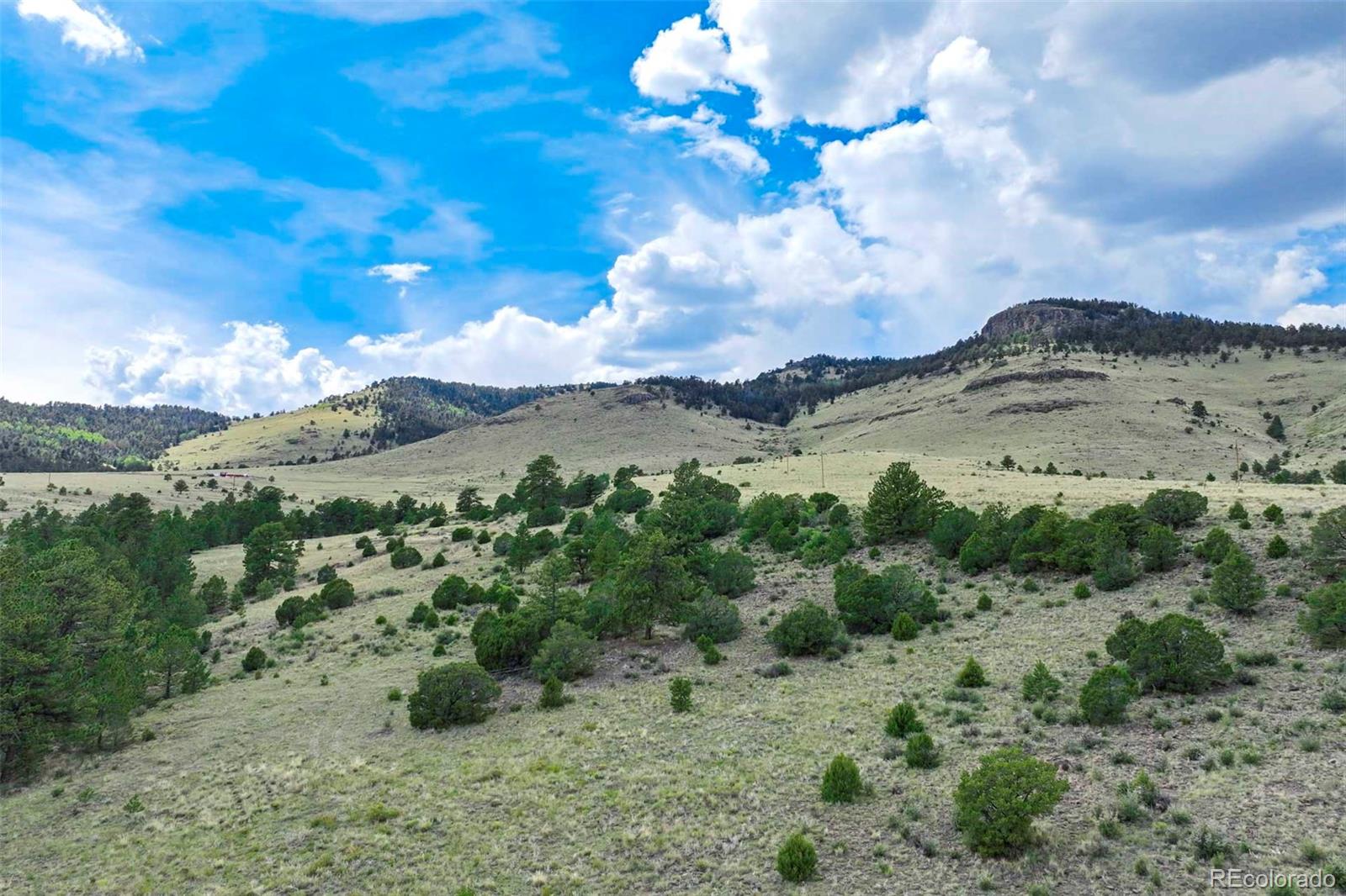 0 Witcher Mountain Road Guffey, CO 80820 - Photo 10 of 50