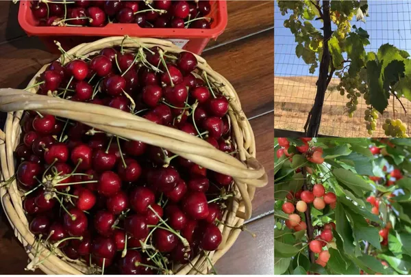 $2,588,000 | 5582 Castello Court, Dublin, CA 94568