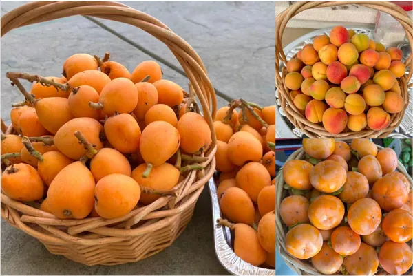 $2,588,000 | 5582 Castello Court, Dublin, CA 94568