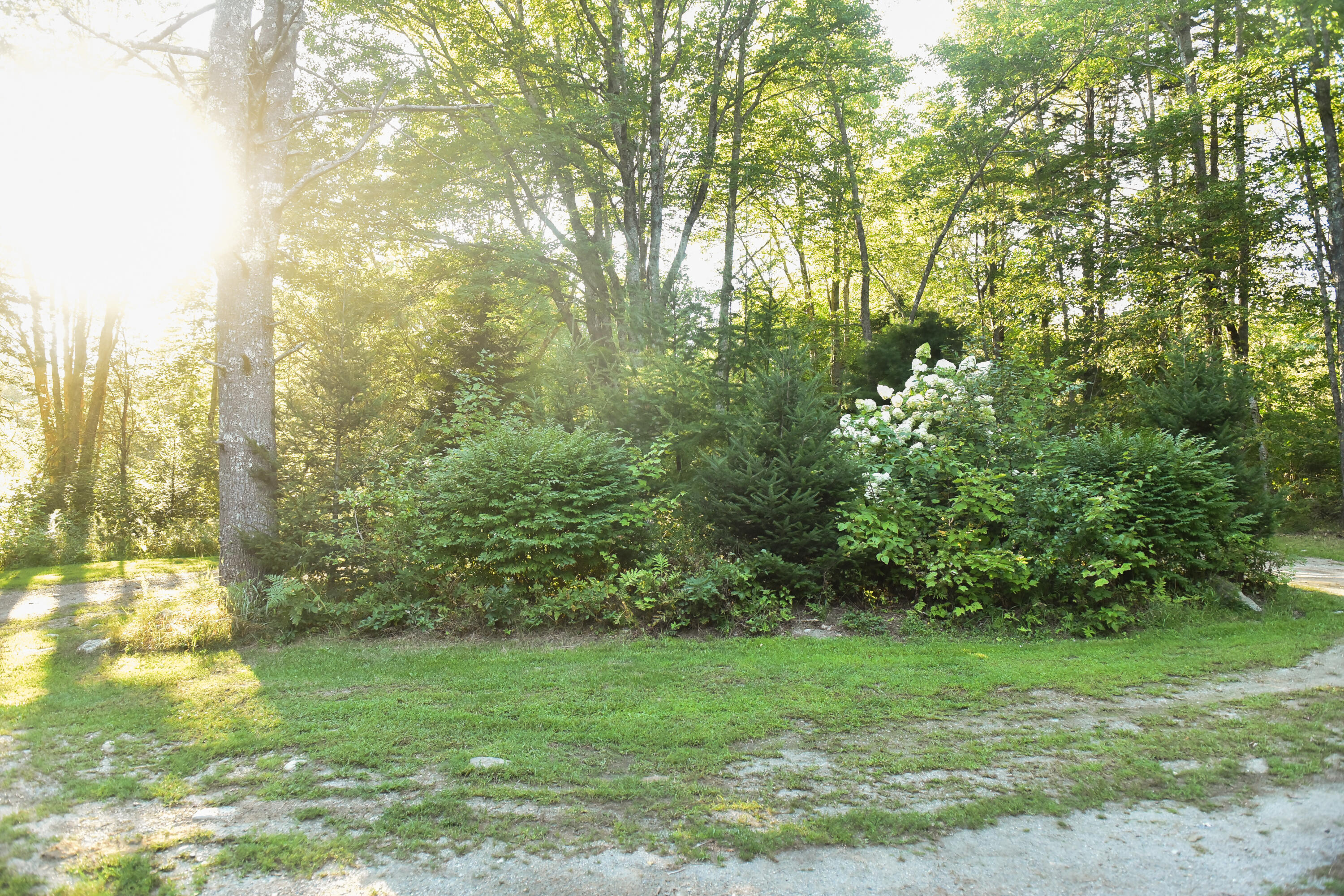 477 North Penobscot Road Penobscot, ME 04476 - Photo 98 of 101 DSC_1551