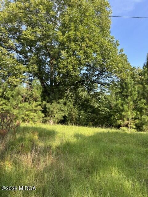 806 Pea Ridge Road Juliette, GA 31046 - Photo 1 of 11 c13963d6-0ba7-42c4-9a70-a287fb591452