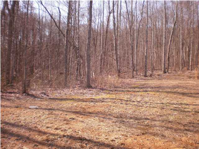 162 Sherman Road Dunlap, TN 37327 - Photo 23 of 27 Additional Photo