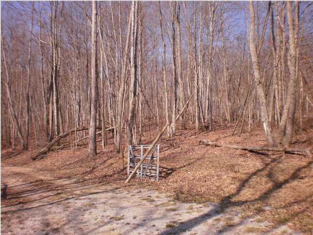 162 Sherman Road Dunlap, TN 37327 - Photo 27 of 27 Additional Photo