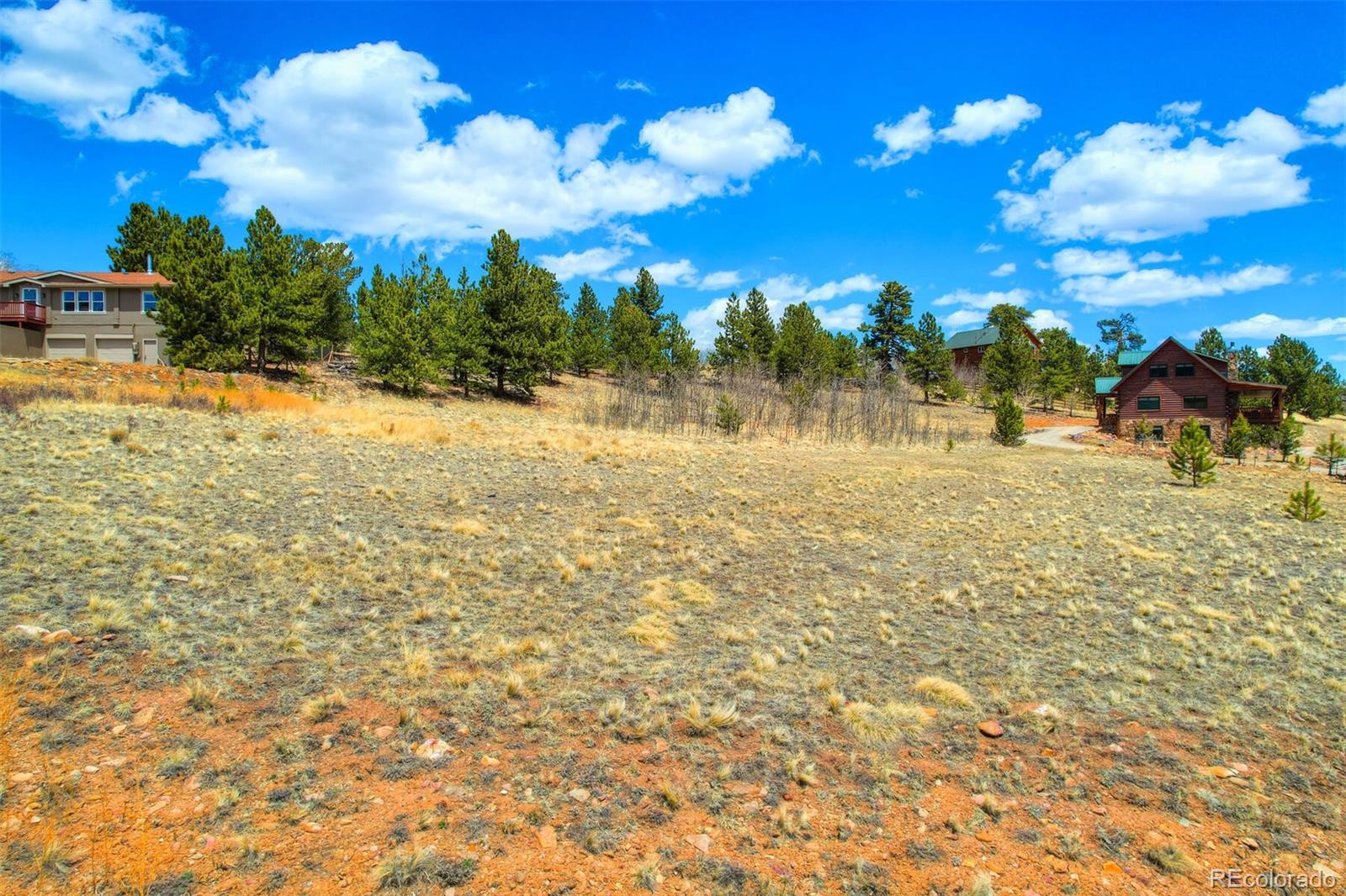 203 High Creek Road Fairplay, CO 80440 - Photo 20 of 30 a view of a yard with a tree