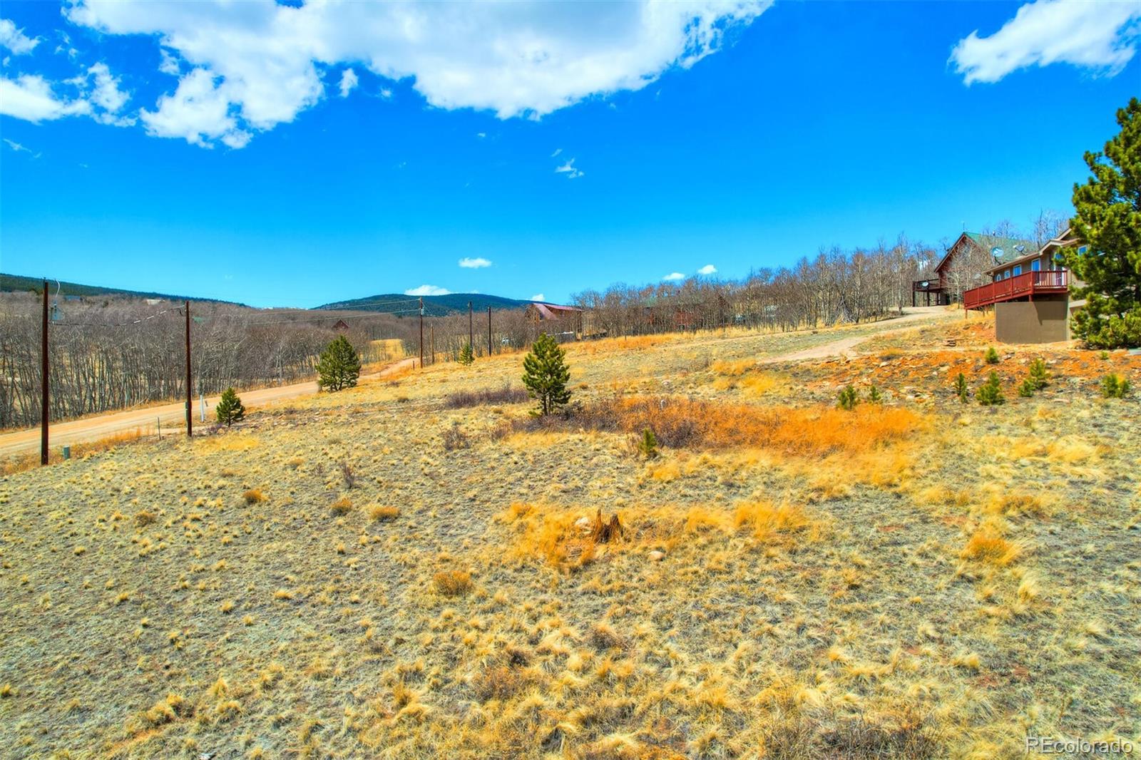 203 High Creek Road Fairplay, CO 80440 - Photo 21 of 30 a view of a yard