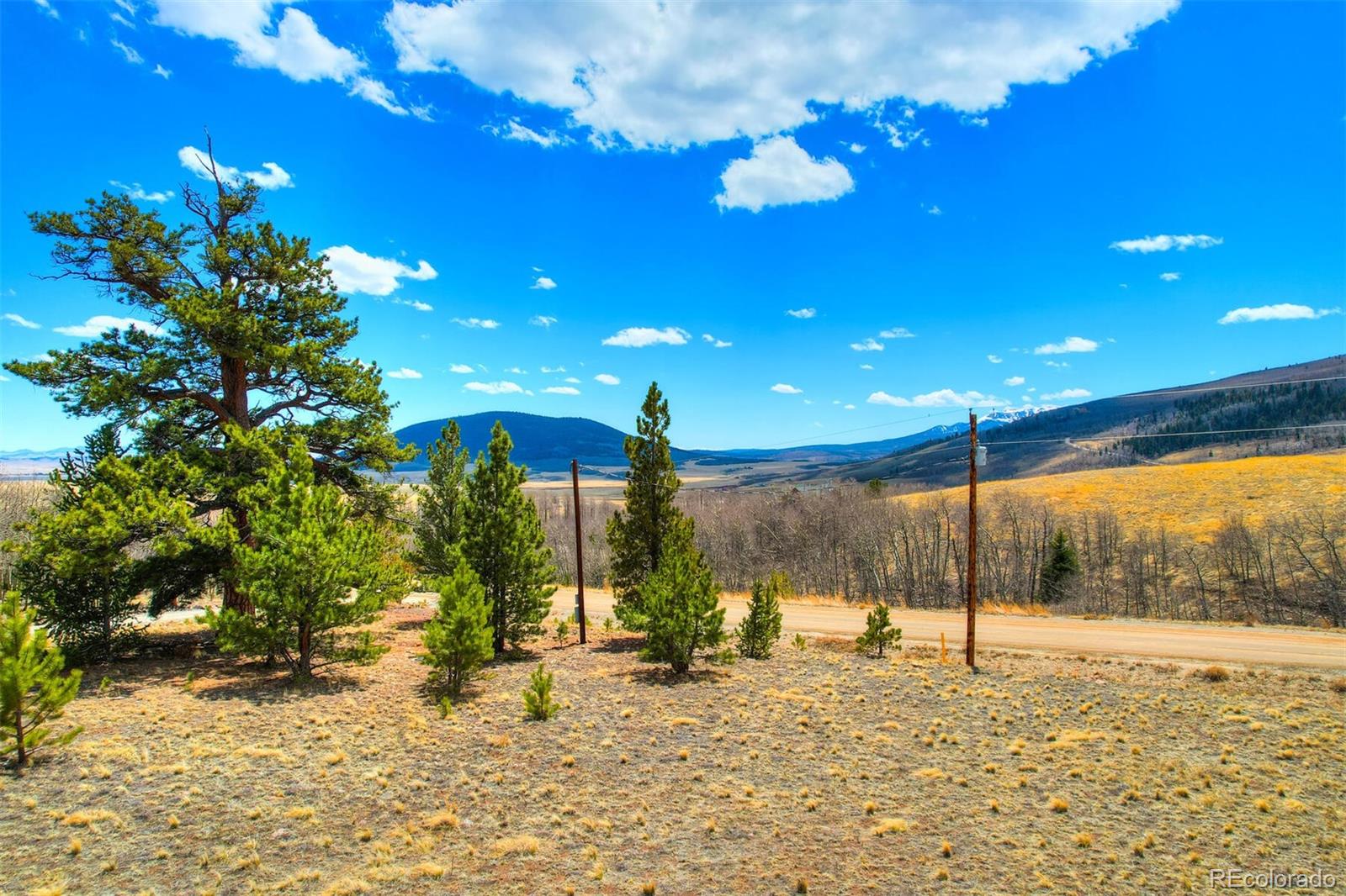 203 High Creek Road Fairplay, CO 80440 - Photo 22 of 30 a view of a covered with snow