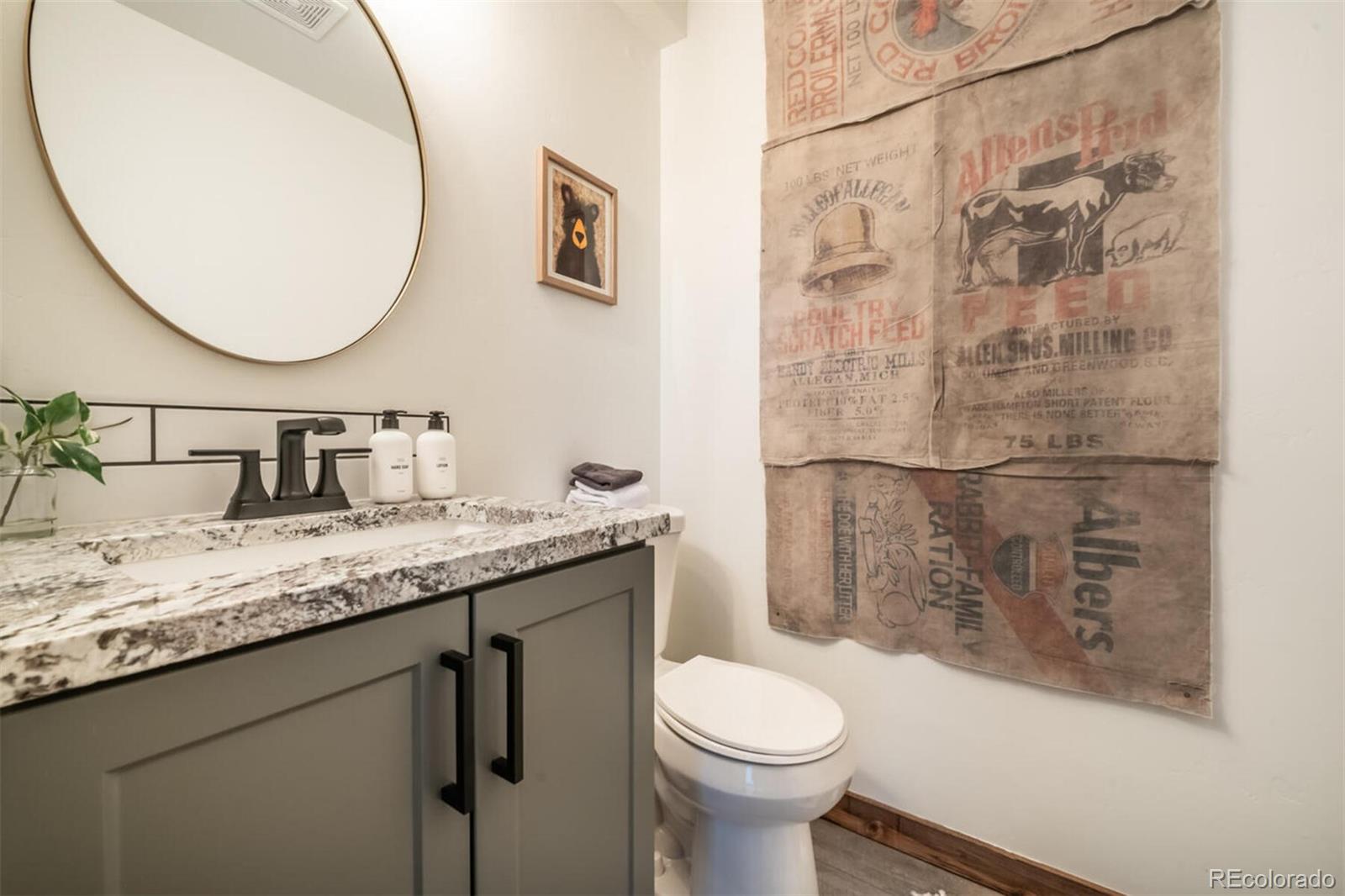 203 High Creek Road Fairplay, CO 80440 - Photo 10 of 30 a bathroom with a granite countertop sink a toilet and a mirror