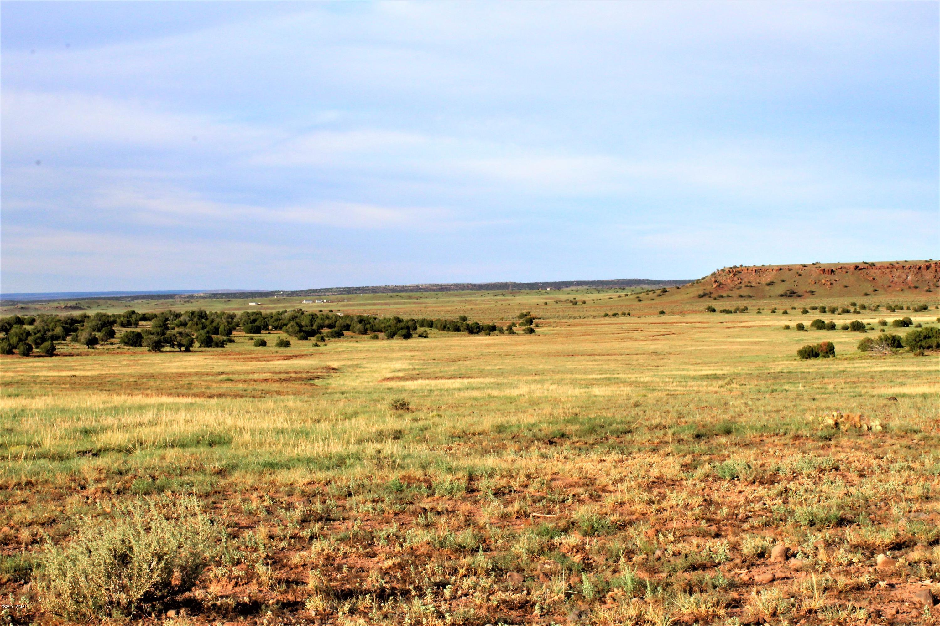 Lot 497-49 Acr 8438 Road Concho, AZ 85924 - Photo 1 of 31