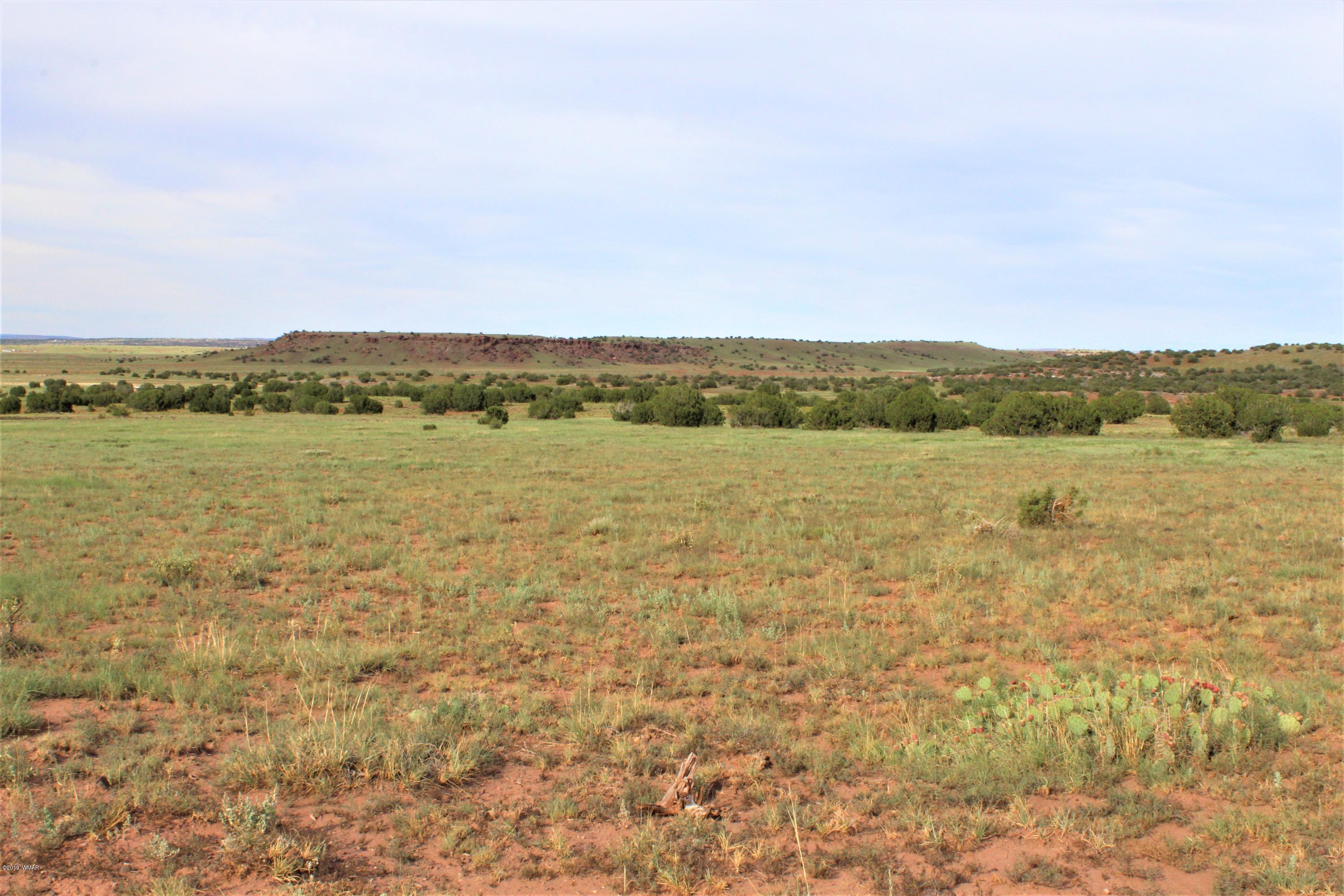 Lot 497-49 Acr 8438 Road Concho, AZ 85924 - Photo 11 of 31