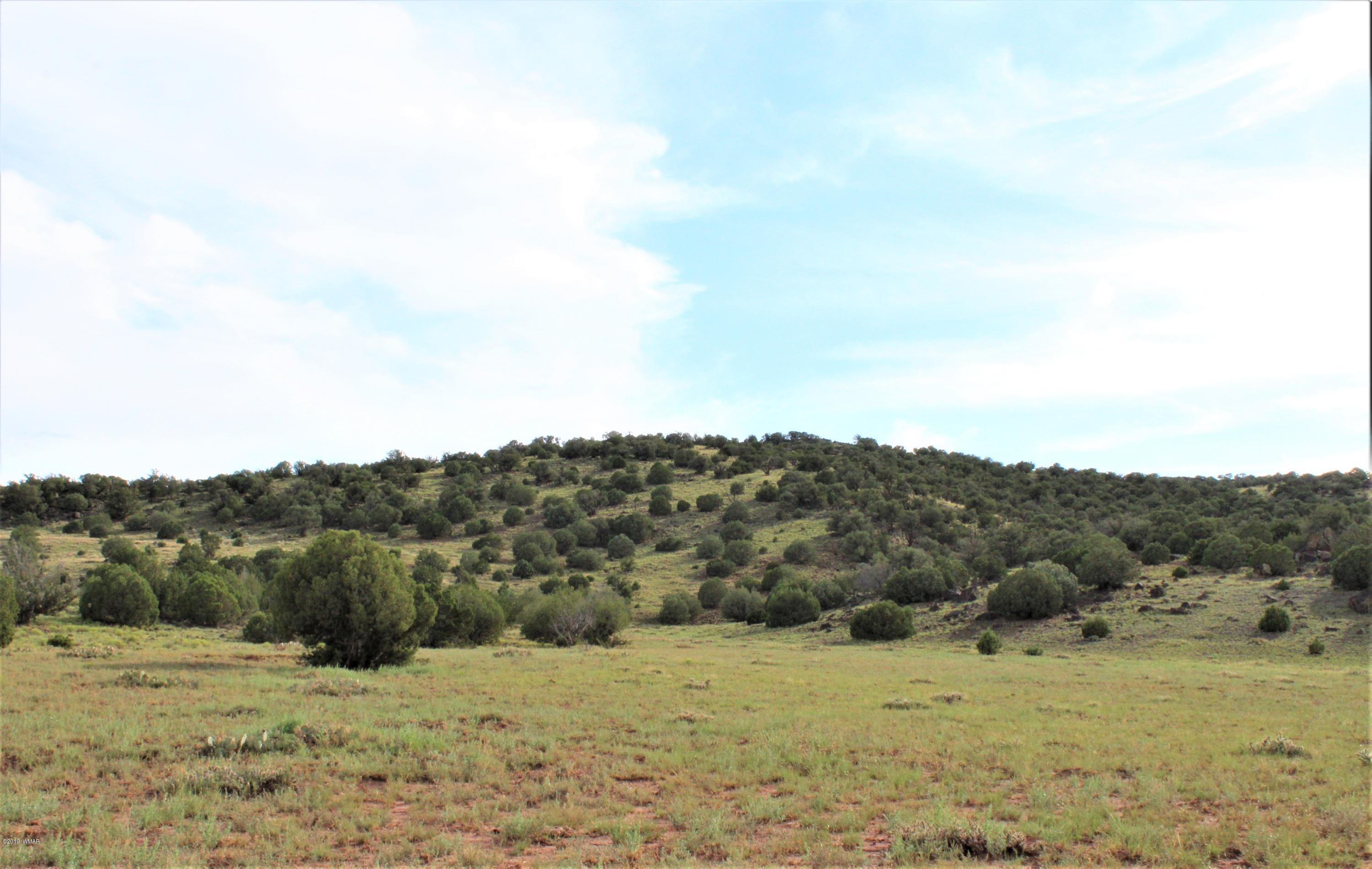 Lot 497-49 Acr 8438 Road Concho, AZ 85924 - Photo 12 of 31
