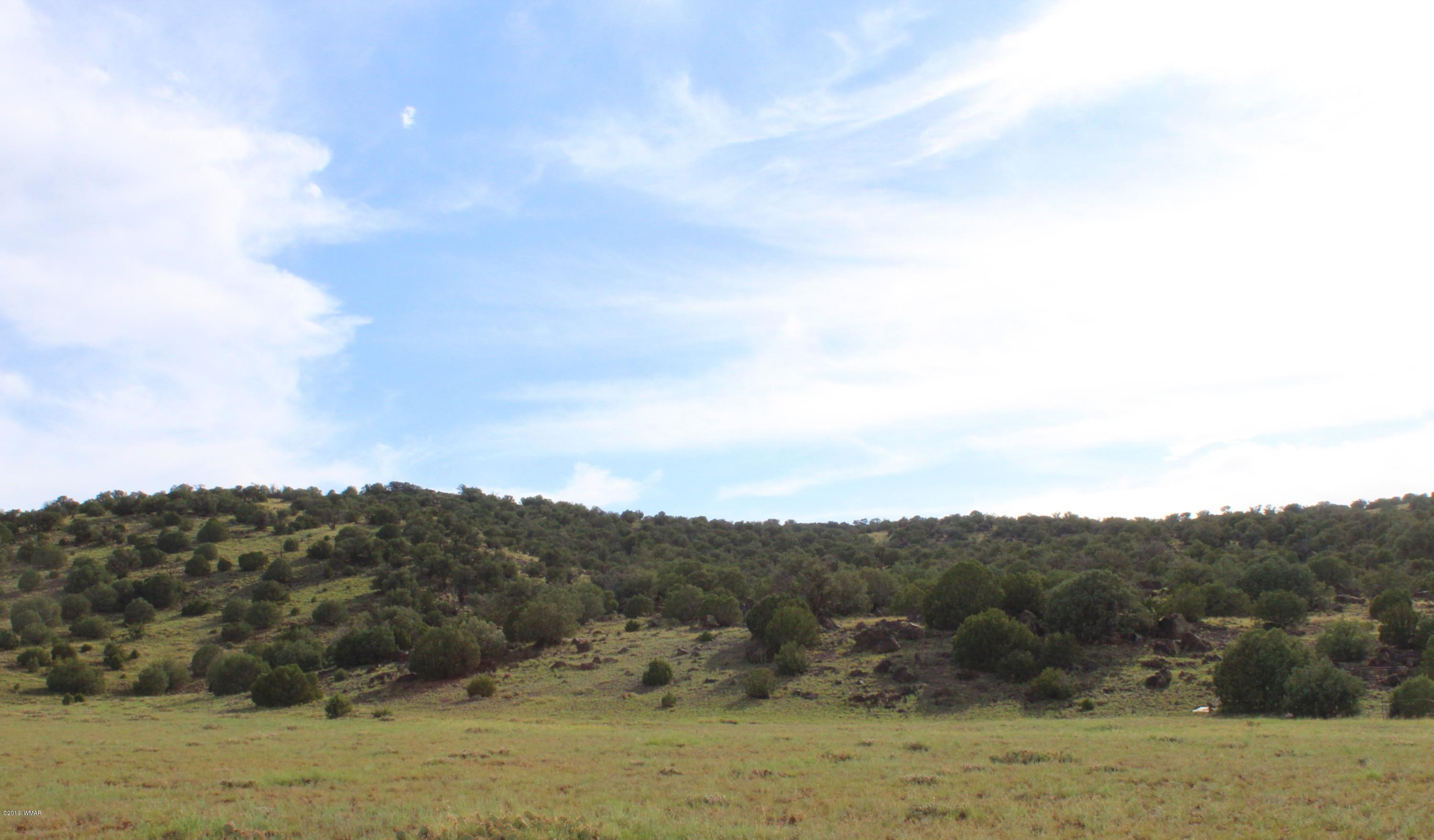 Lot 497-49 Acr 8438 Road Concho, AZ 85924 - Photo 13 of 31