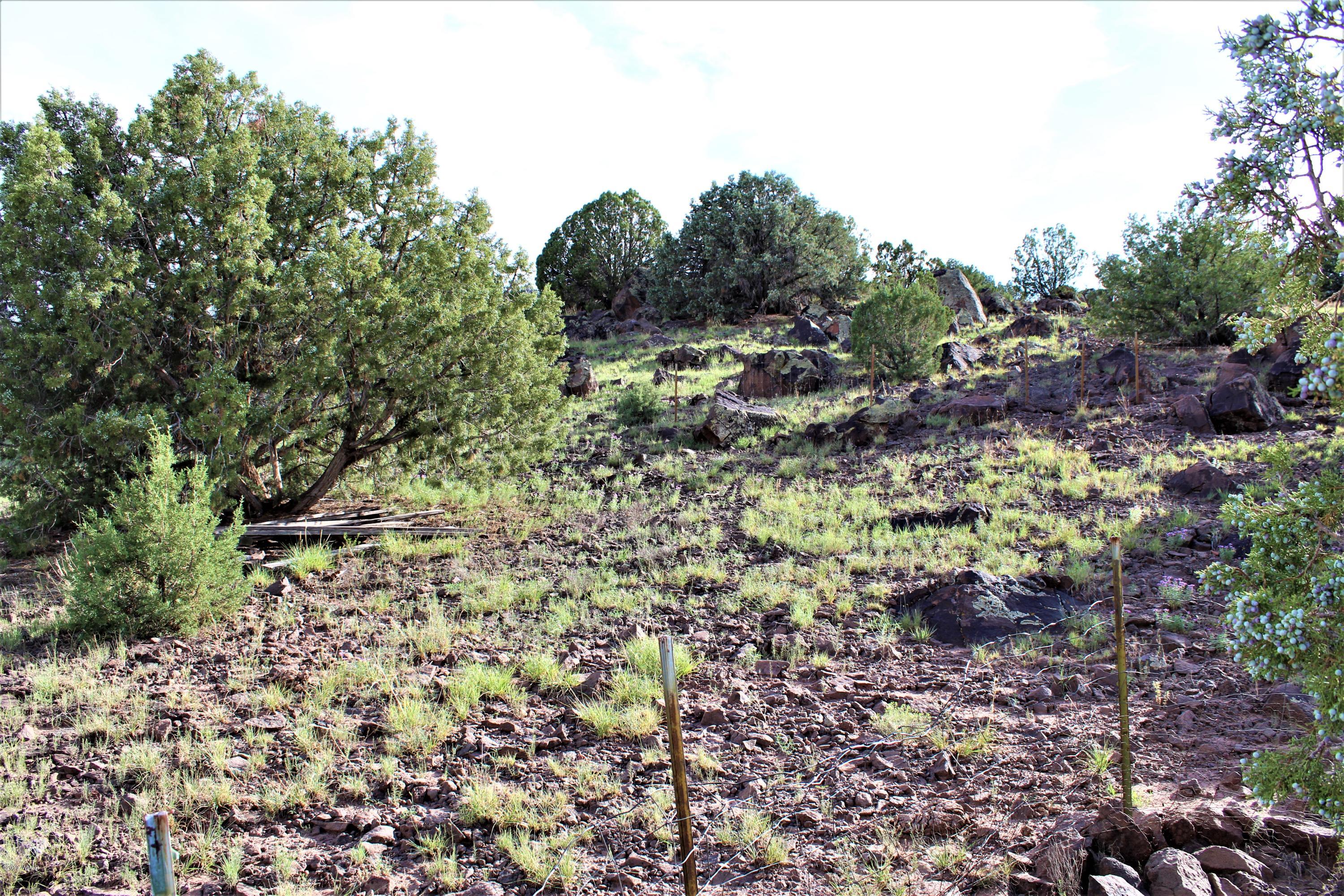 Lot 497-49 Acr 8438 Road Concho, AZ 85924 - Photo 14 of 31