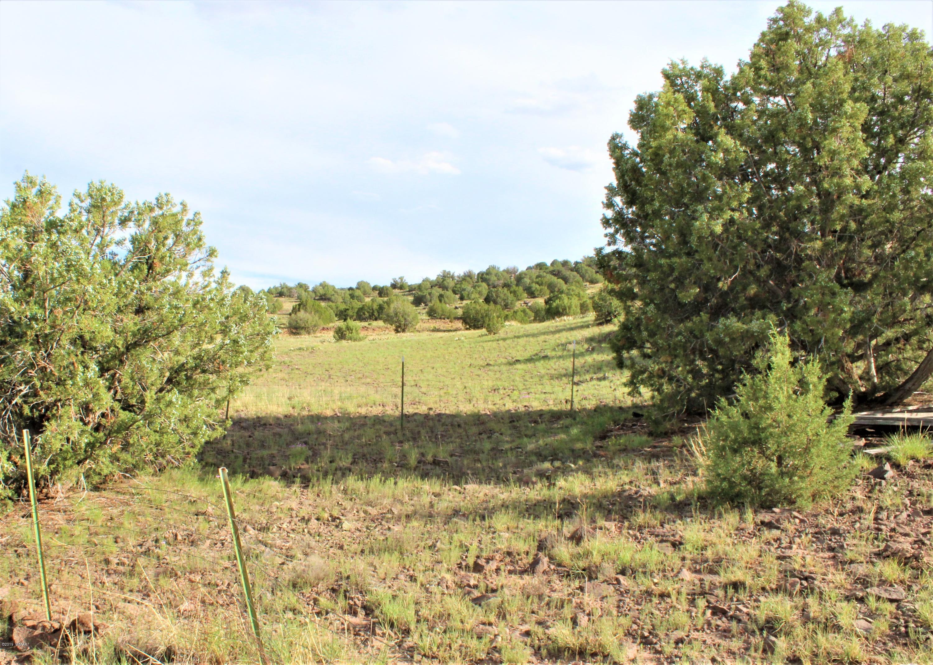 Lot 497-49 Acr 8438 Road Concho, AZ 85924 - Photo 15 of 31