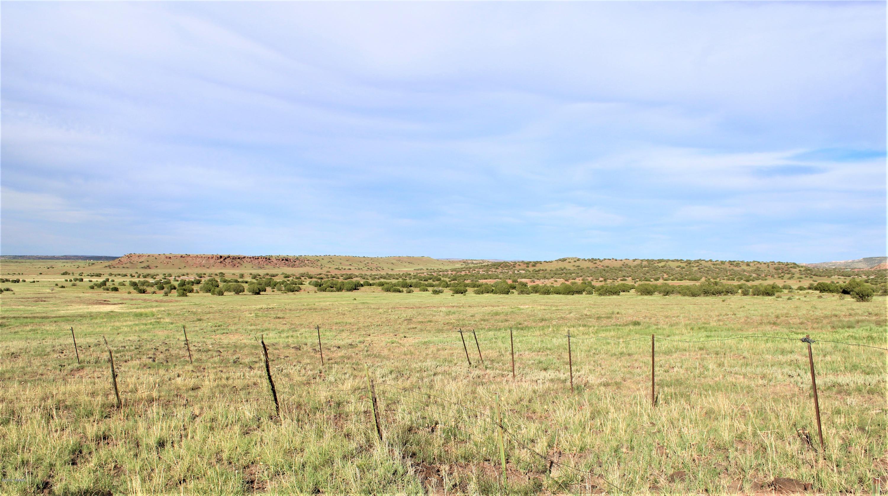 Lot 497-49 Acr 8438 Road Concho, AZ 85924 - Photo 17 of 31