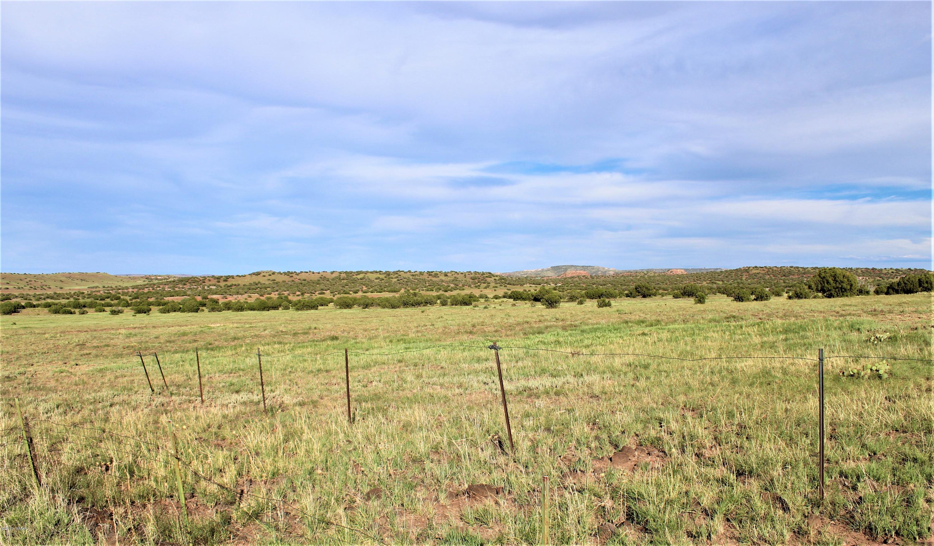 Lot 497-49 Acr 8438 Road Concho, AZ 85924 - Photo 18 of 31