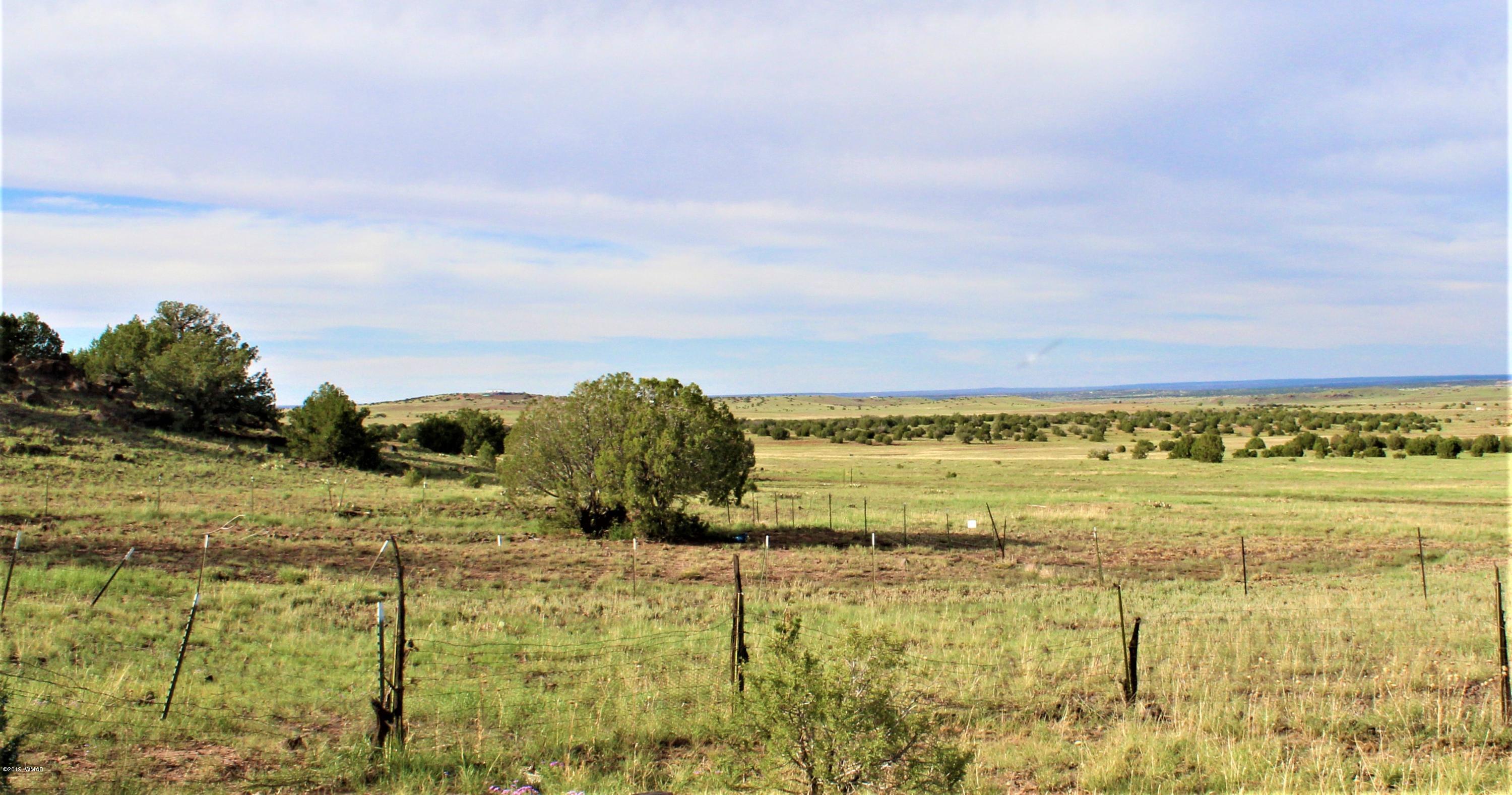 Lot 497-49 Acr 8438 Road Concho, AZ 85924 - Photo 19 of 31