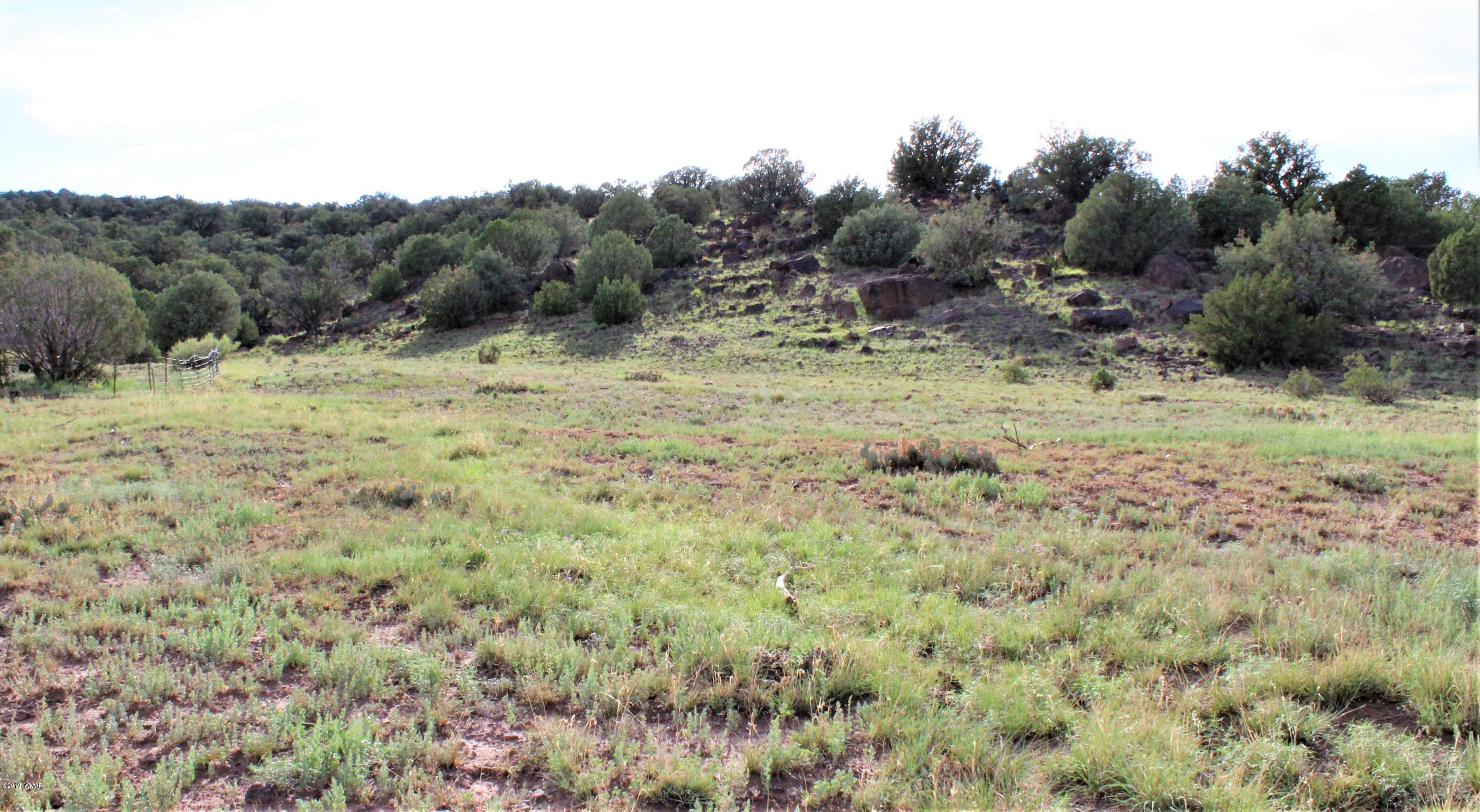 Lot 497-49 Acr 8438 Road Concho, AZ 85924 - Photo 20 of 31