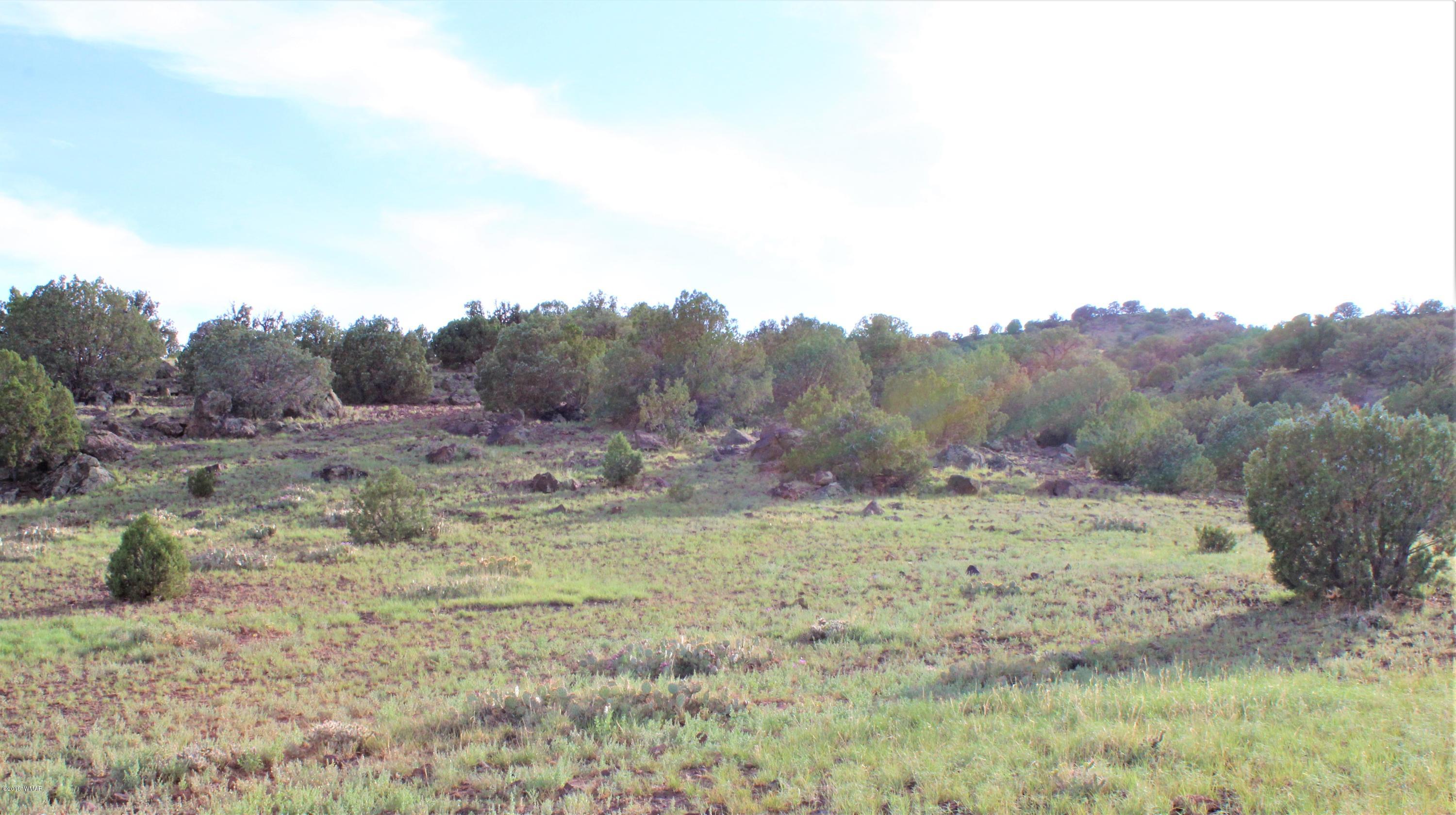 Lot 497-49 Acr 8438 Road Concho, AZ 85924 - Photo 21 of 31