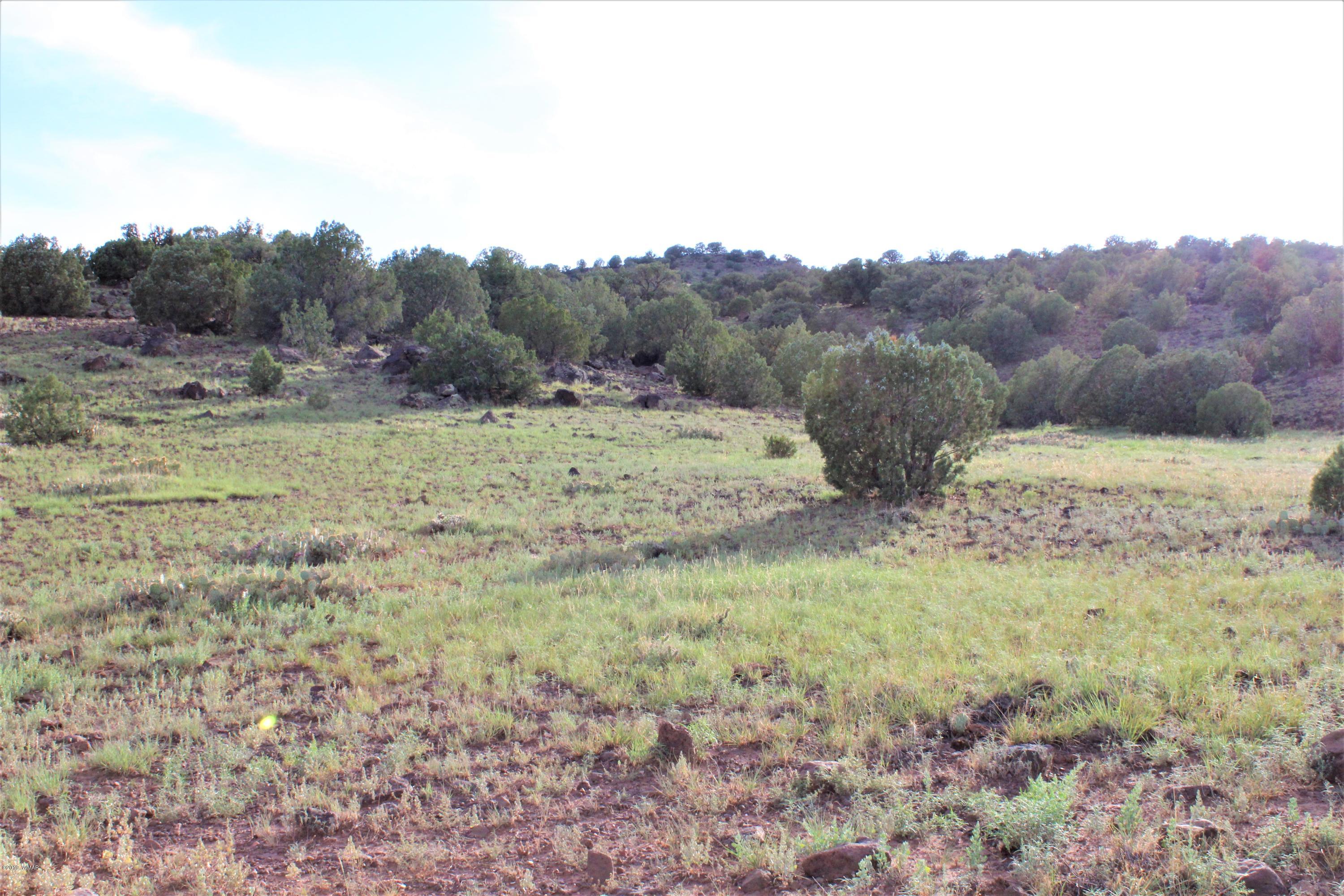 Lot 497-49 Acr 8438 Road Concho, AZ 85924 - Photo 22 of 31