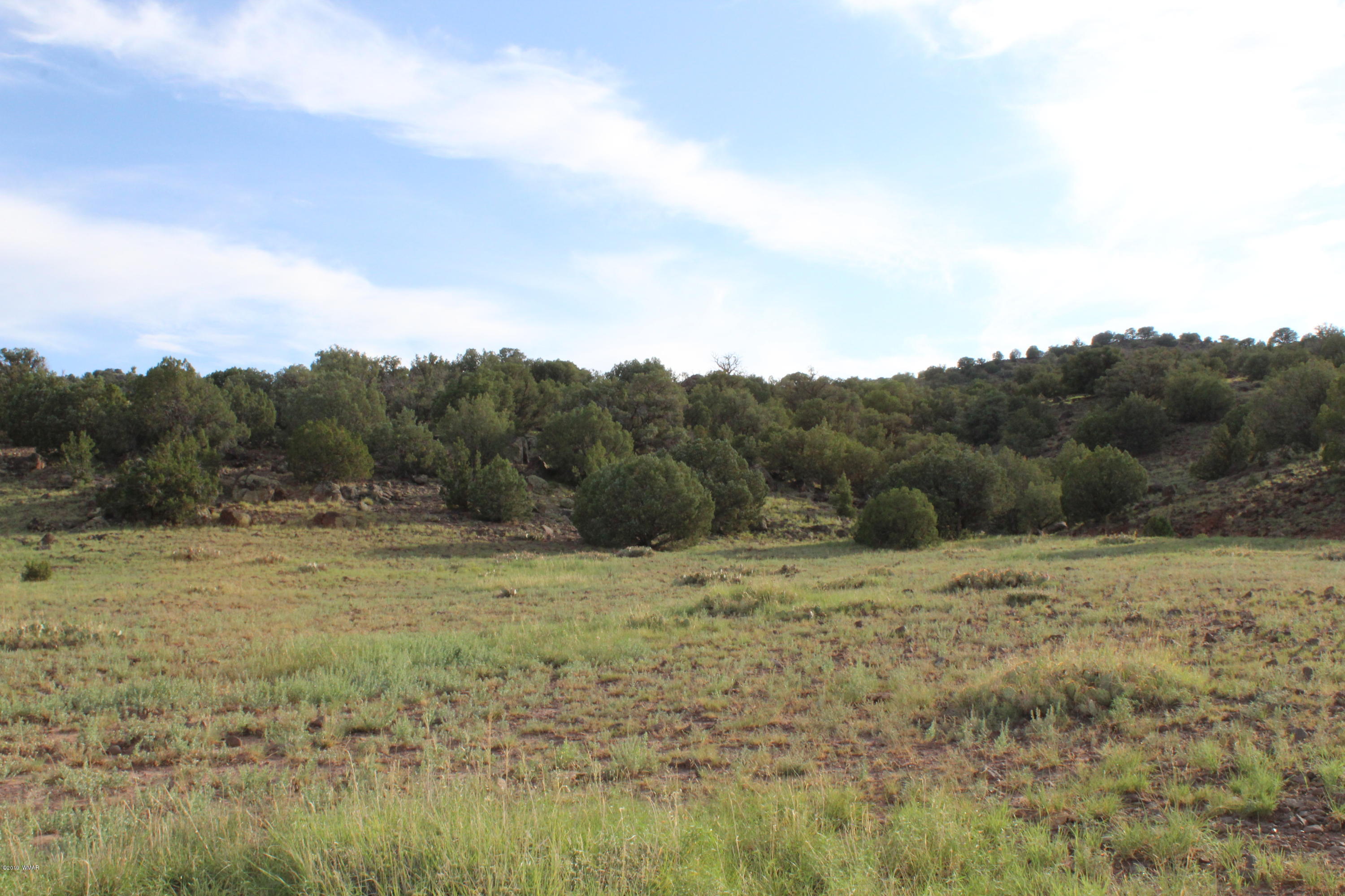 Lot 497-49 Acr 8438 Road Concho, AZ 85924 - Photo 23 of 31