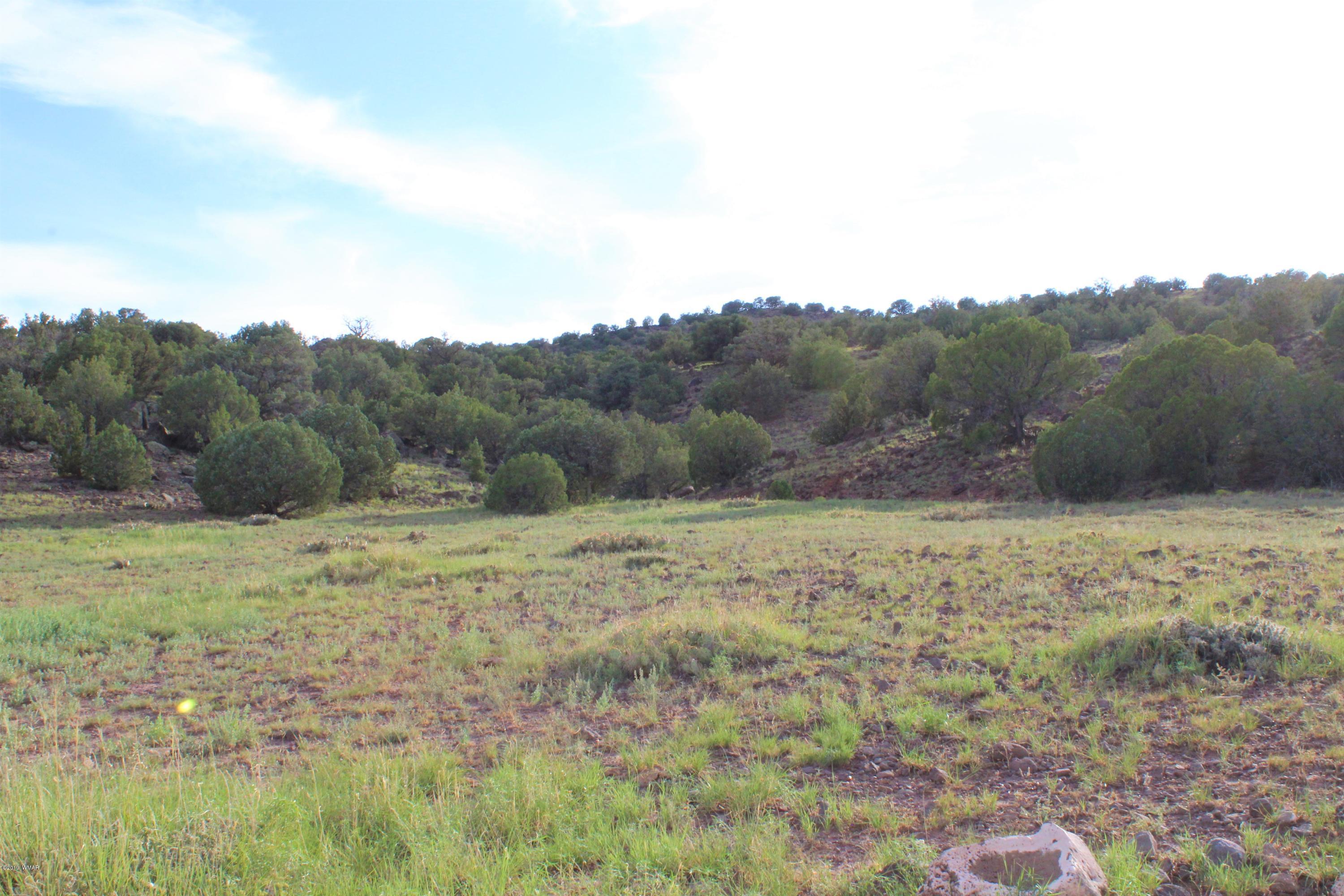 Lot 497-49 Acr 8438 Road Concho, AZ 85924 - Photo 24 of 31