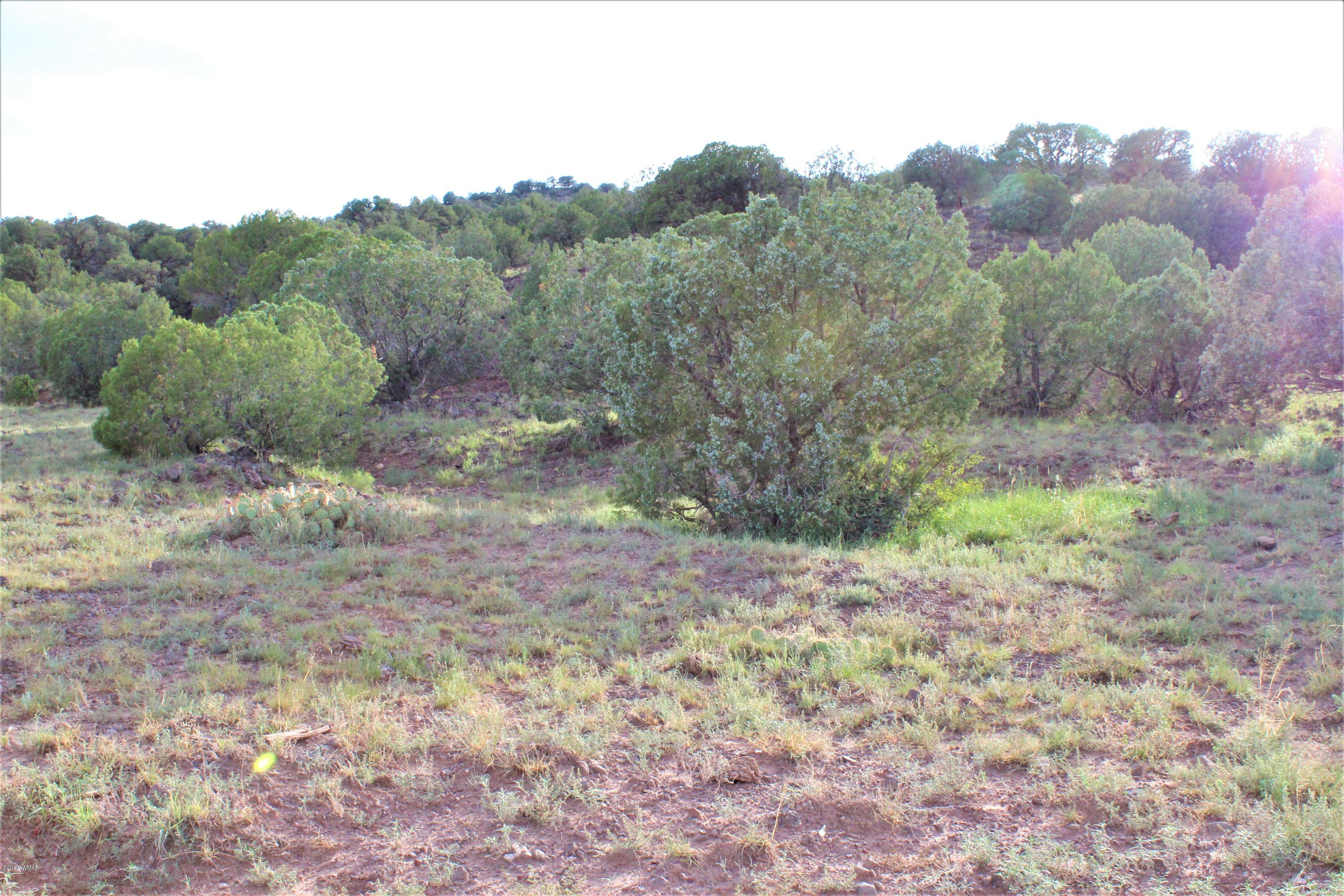 Lot 497-49 Acr 8438 Road Concho, AZ 85924 - Photo 25 of 31