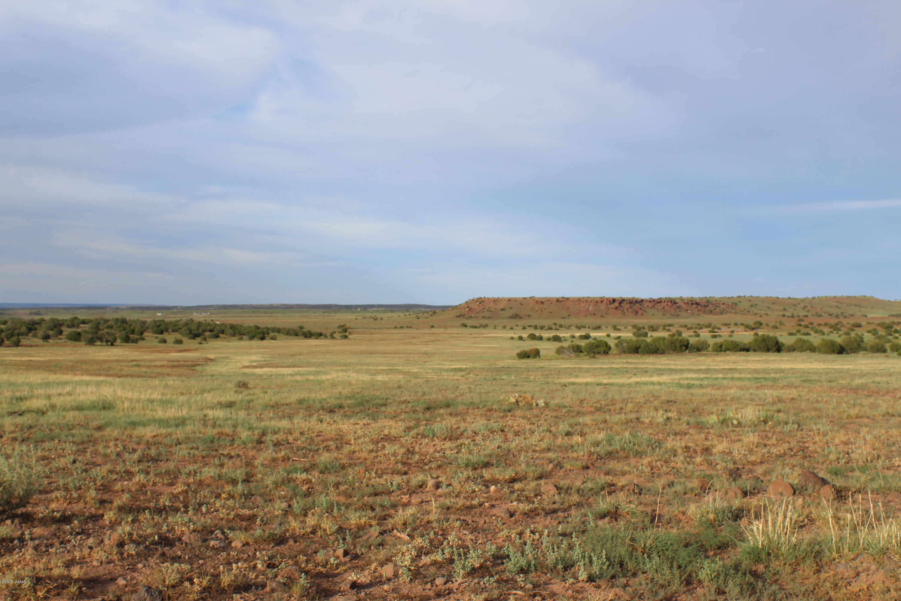 Lot 497-49 Acr 8438 Road Concho, AZ 85924 - Photo 26 of 31