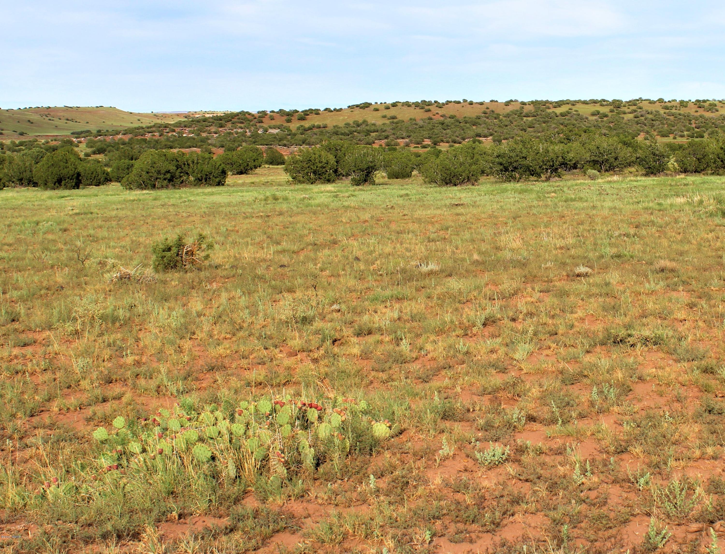 Lot 497-49 Acr 8438 Road Concho, AZ 85924 - Photo 27 of 31