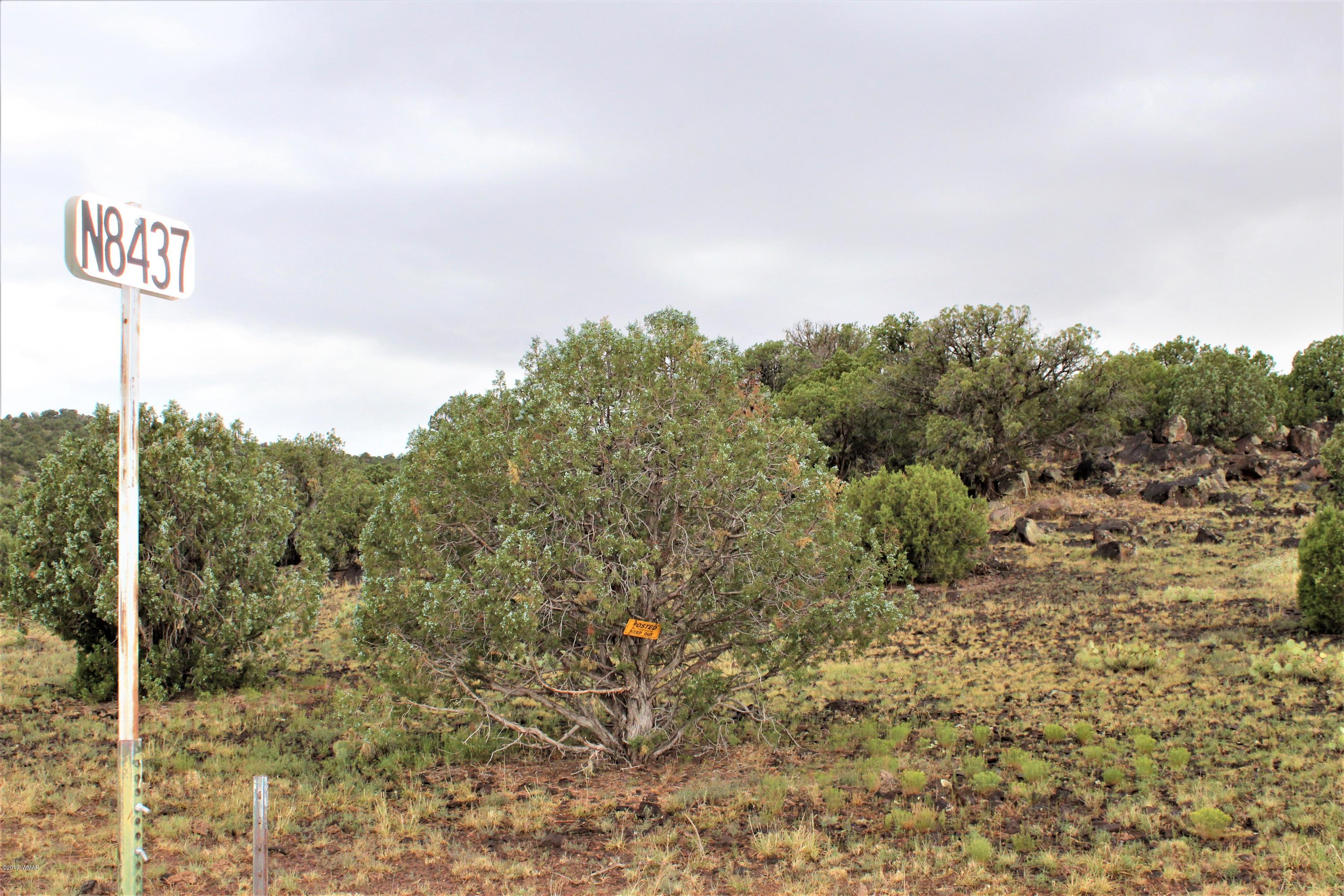 Lot 497-49 Acr 8438 Road Concho, AZ 85924 - Photo 28 of 31
