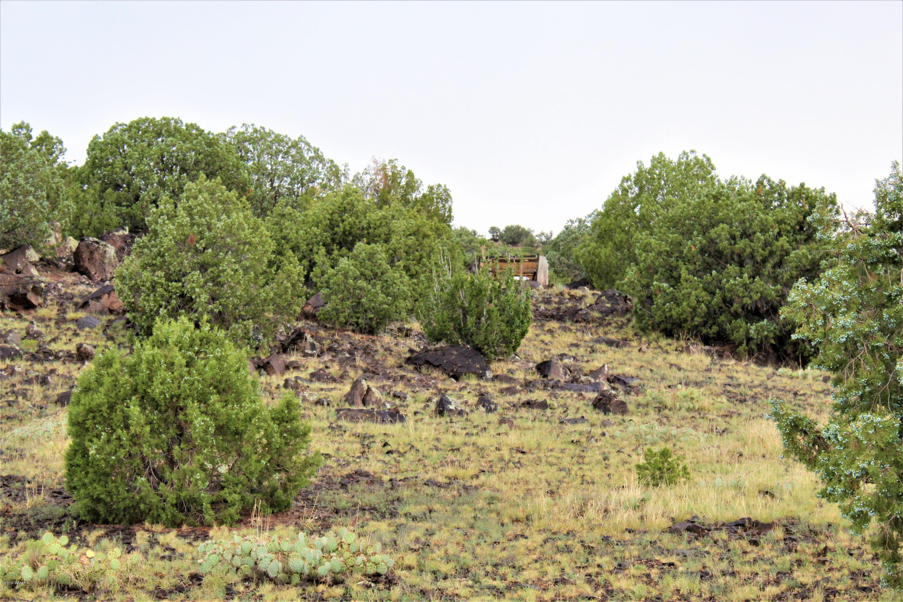 Lot 497-49 Acr 8438 Road Concho, AZ 85924 - Photo 29 of 31