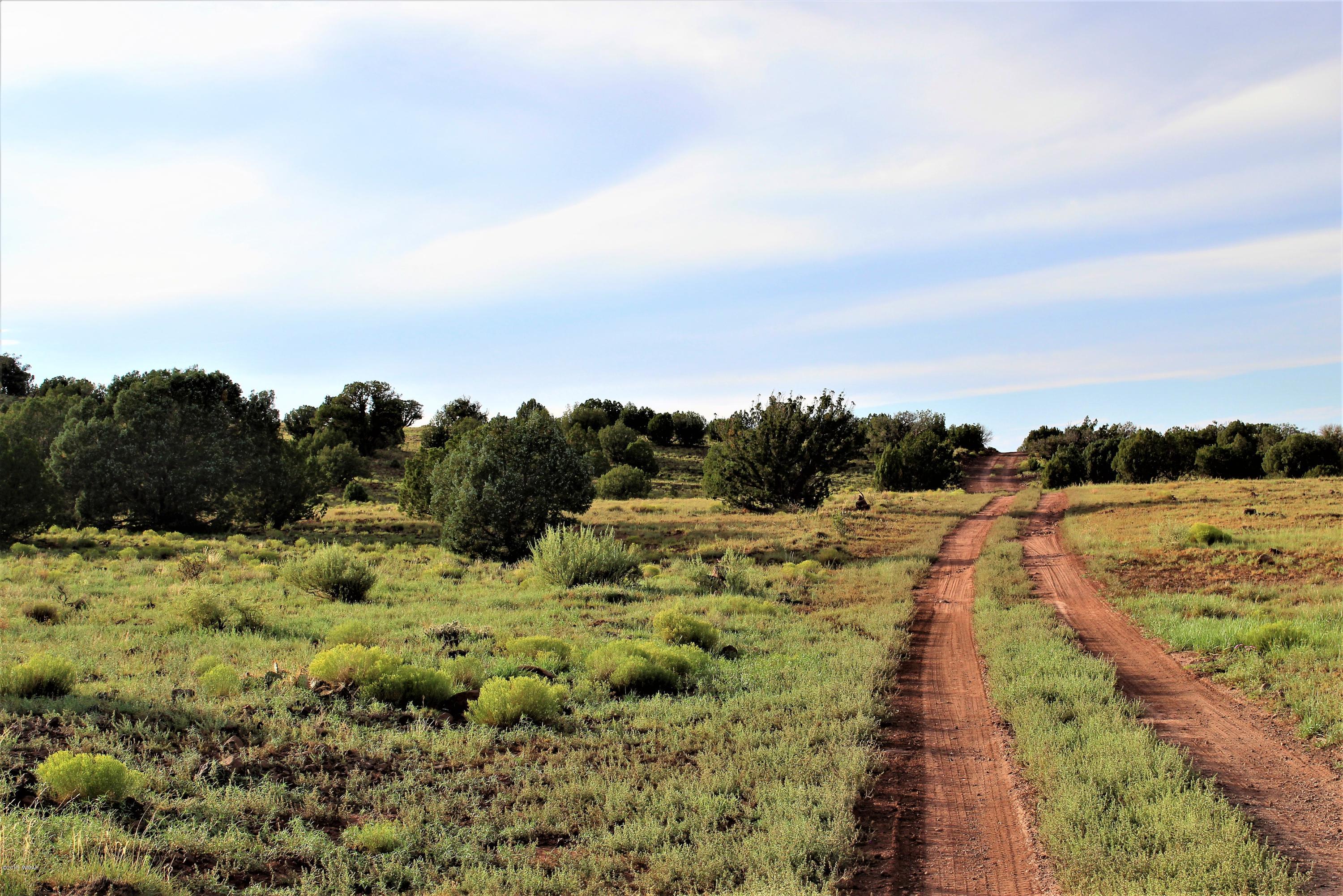 Lot 497-49 Acr 8438 Road Concho, AZ 85924 - Photo 3 of 31