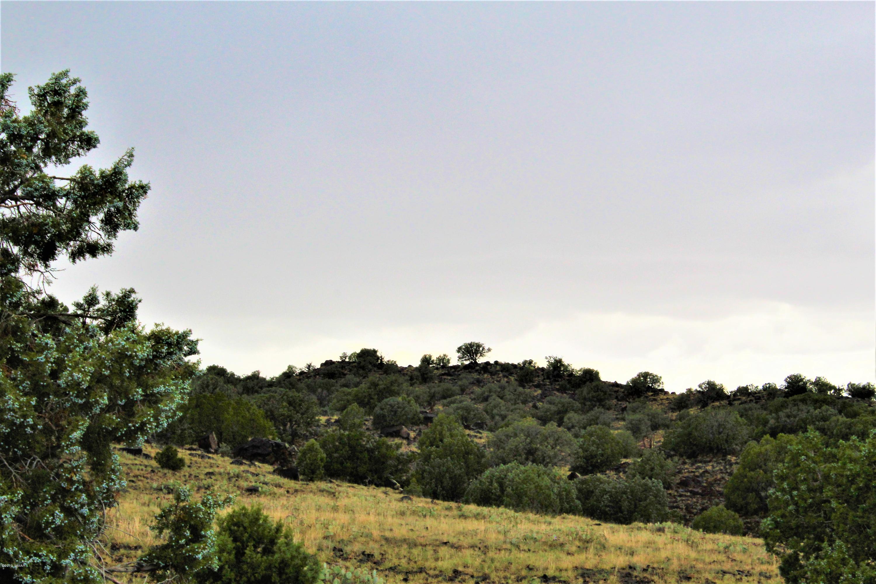 Lot 497-49 Acr 8438 Road Concho, AZ 85924 - Photo 31 of 31