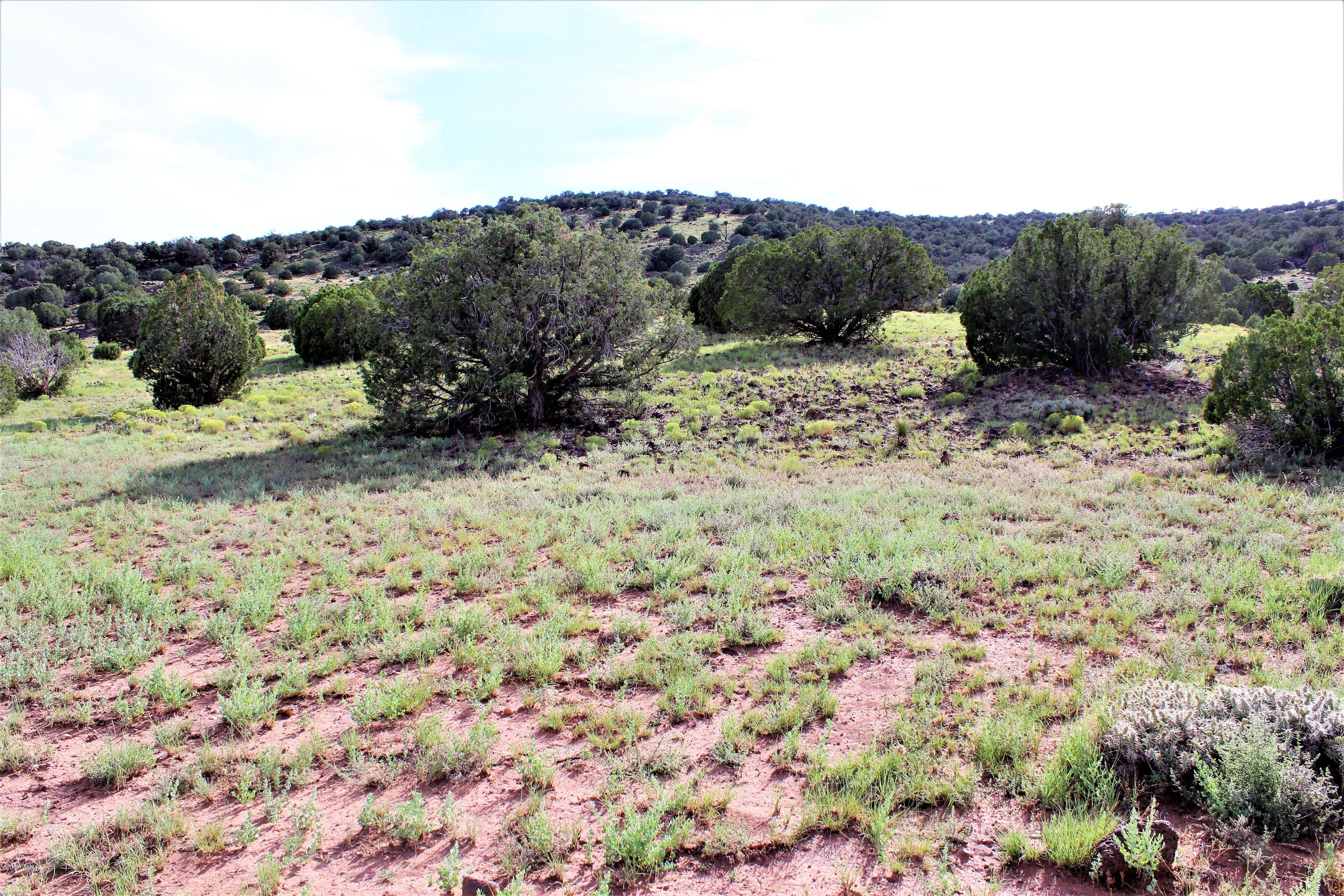 Lot 497-49 Acr 8438 Road Concho, AZ 85924 - Photo 5 of 31