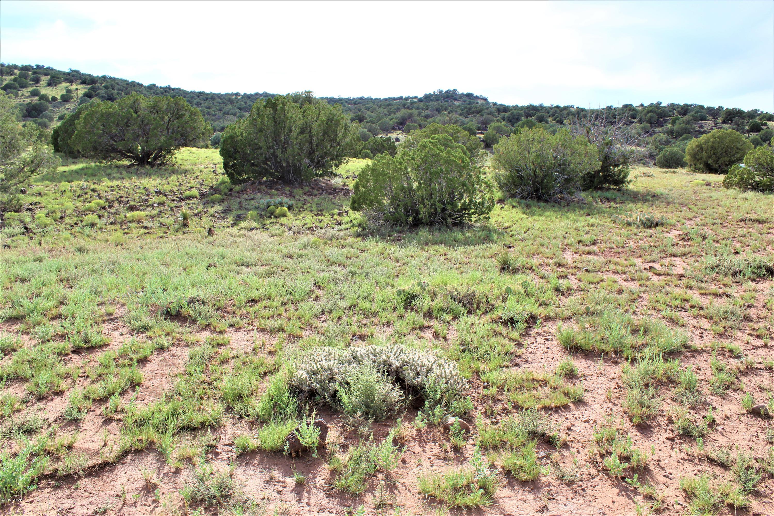 Lot 497-49 Acr 8438 Road Concho, AZ 85924 - Photo 6 of 31