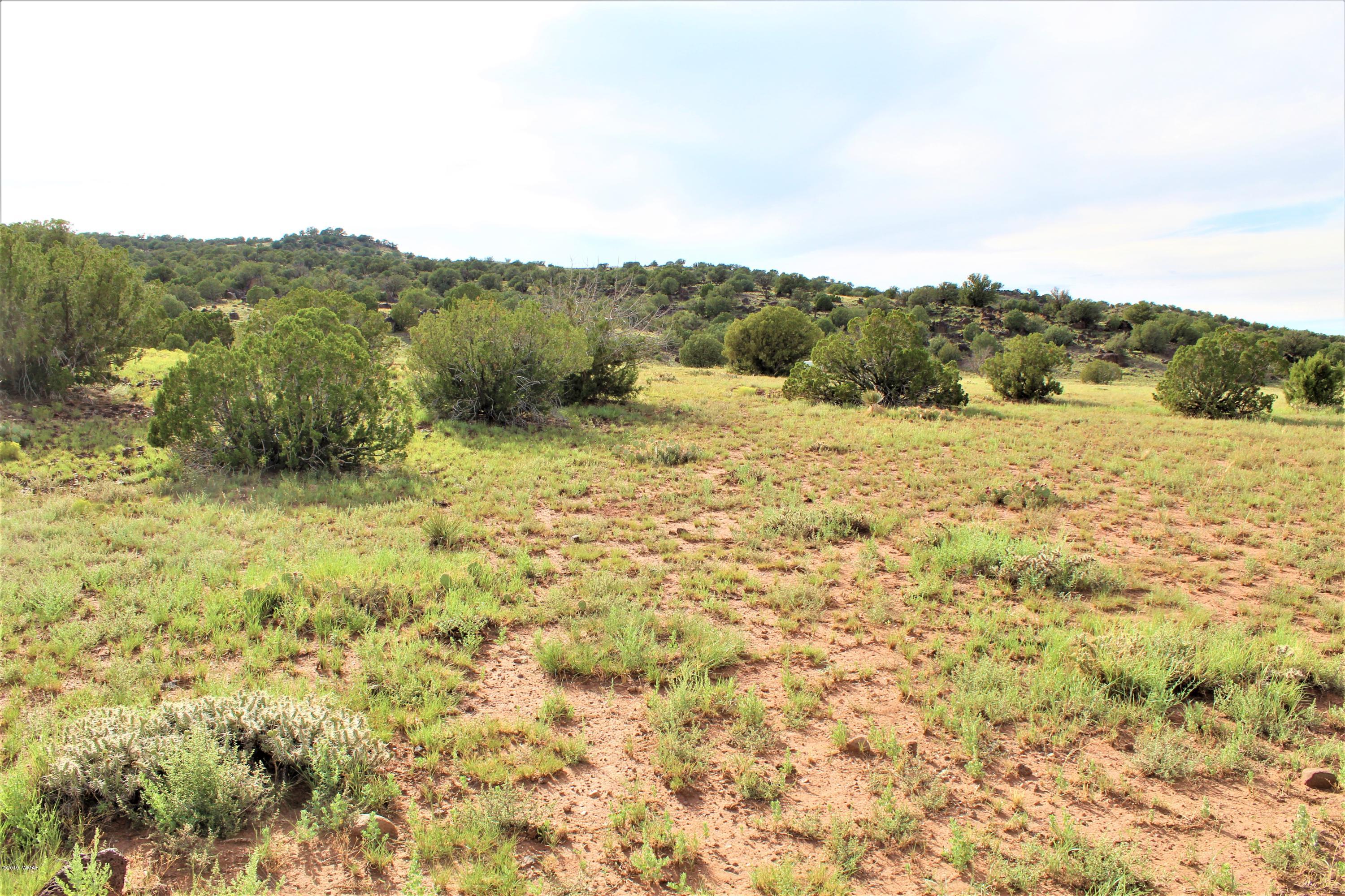 Lot 497-49 Acr 8438 Road Concho, AZ 85924 - Photo 7 of 31