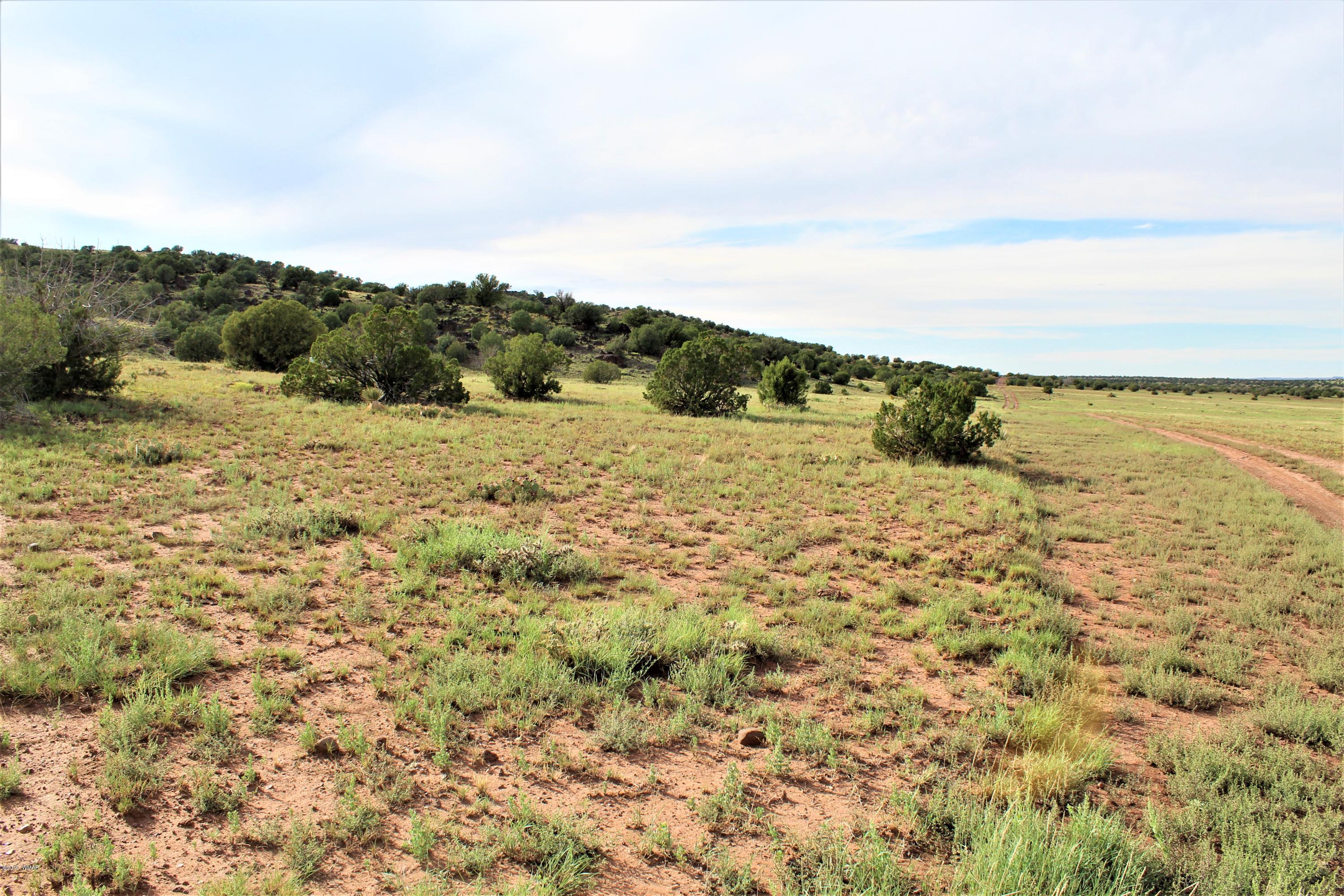 Lot 497-49 Acr 8438 Road Concho, AZ 85924 - Photo 8 of 31