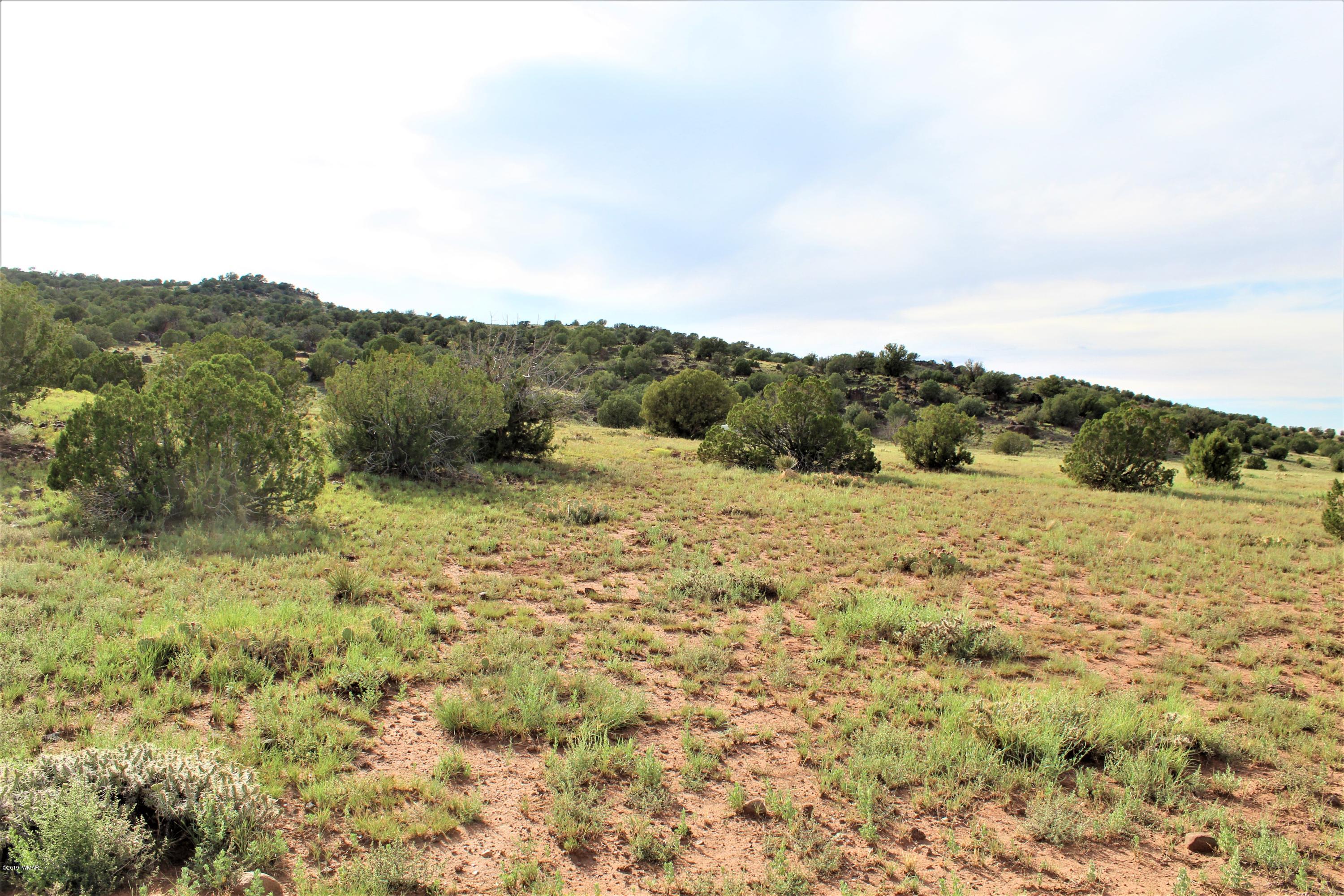 Lot 497-49 Acr 8438 Road Concho, AZ 85924 - Photo 9 of 31