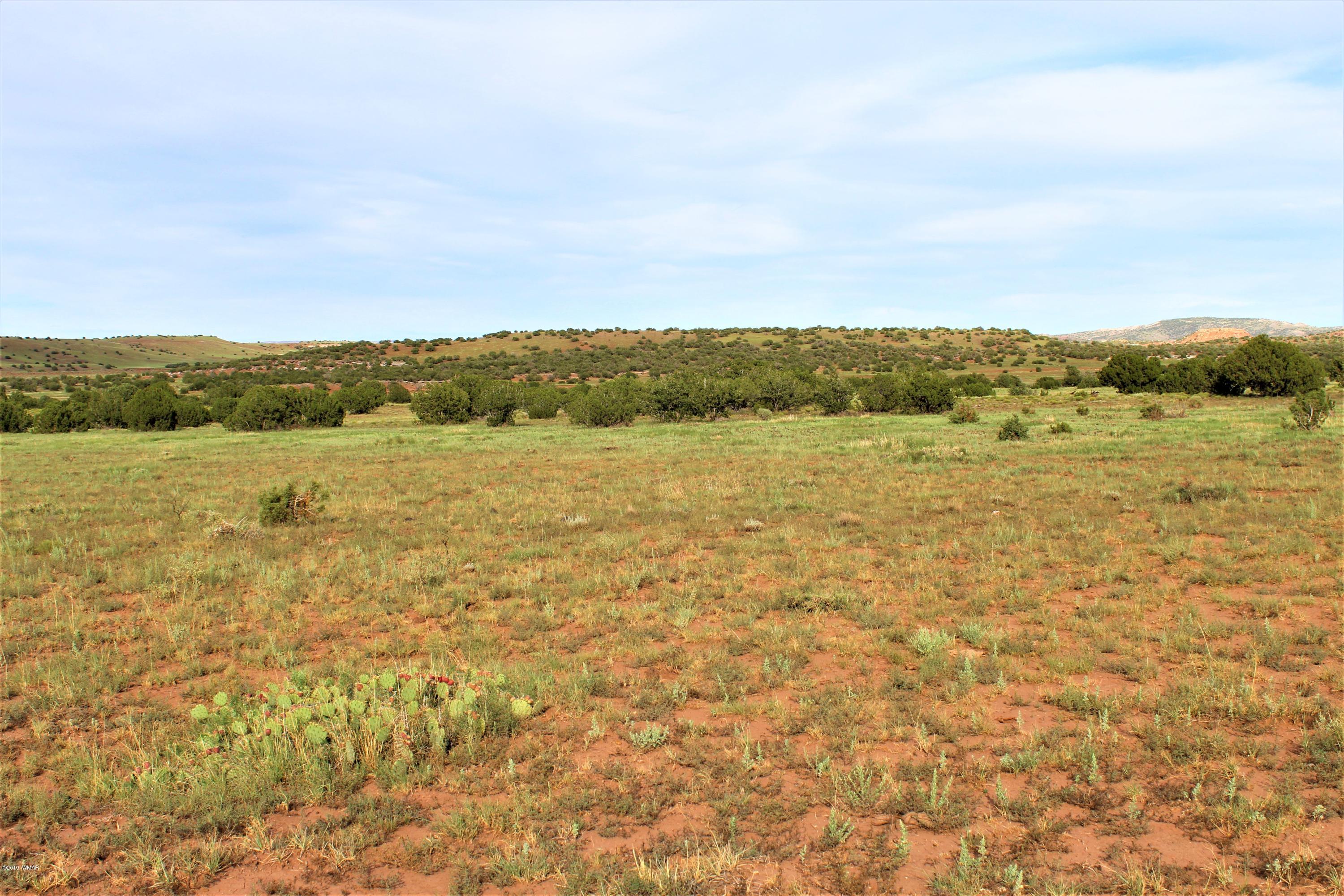Lot 497-49 Acr 8438 Road Concho, AZ 85924 - Photo 10 of 31