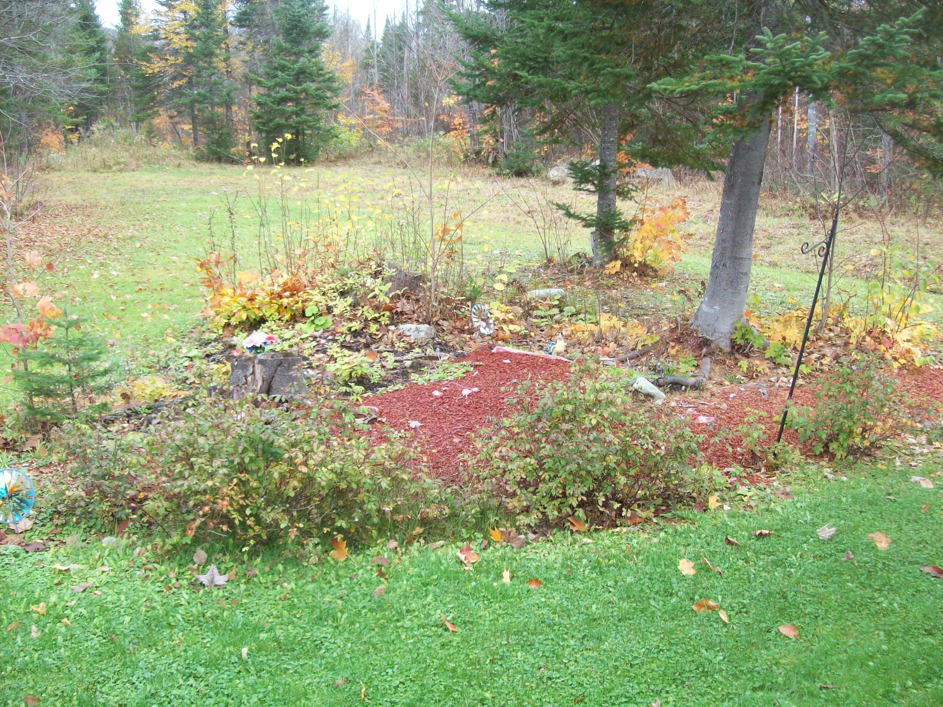 Tbd Mountain Road Mount Chase, ME 04765 - Photo 23 of 29 100_2424