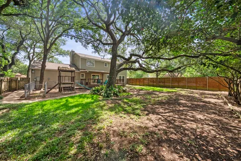 a view of a yard with plants and trees