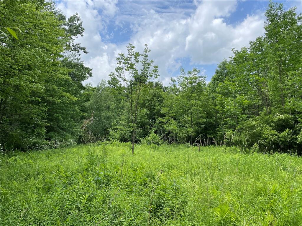 0 Elm Road Cambridge Springs, PA 16403 - Photo 11 of 17 a view of a green field with lots of bushes
